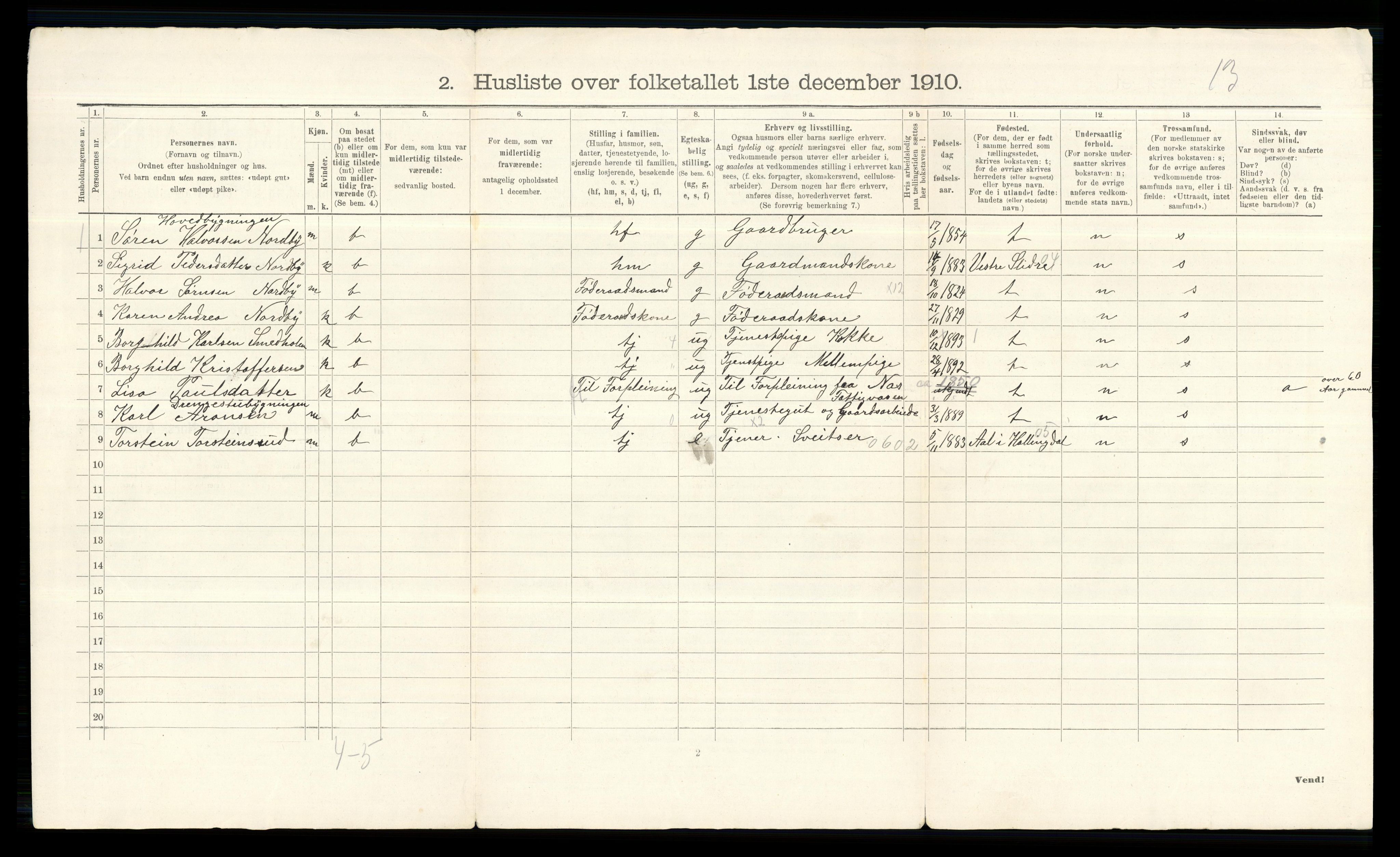 RA, 1910 census for Nes, 1910, p. 541