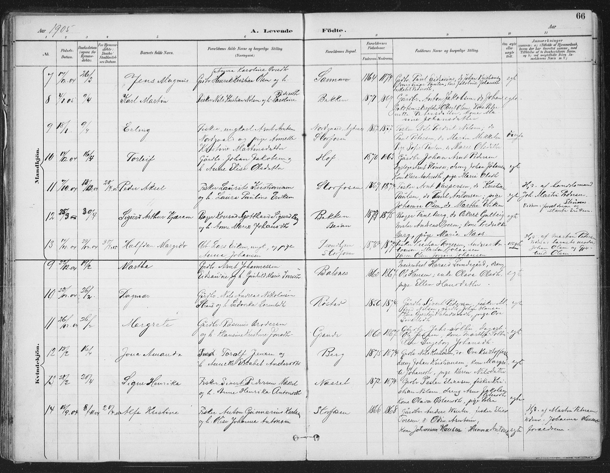 Ministerialprotokoller, klokkerbøker og fødselsregistre - Sør-Trøndelag, AV/SAT-A-1456/659/L0743: Parish register (official) no. 659A13, 1893-1910, p. 66