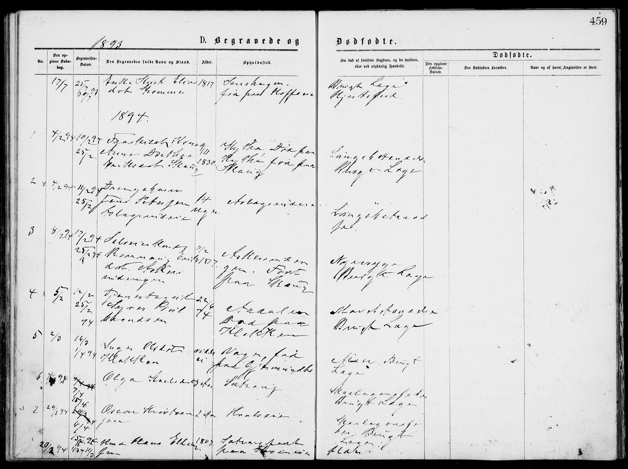 Norderhov kirkebøker, SAKO/A-237/G/Gb/L0001: Parish register (copy) no. II 1, 1876-1899, p. 459