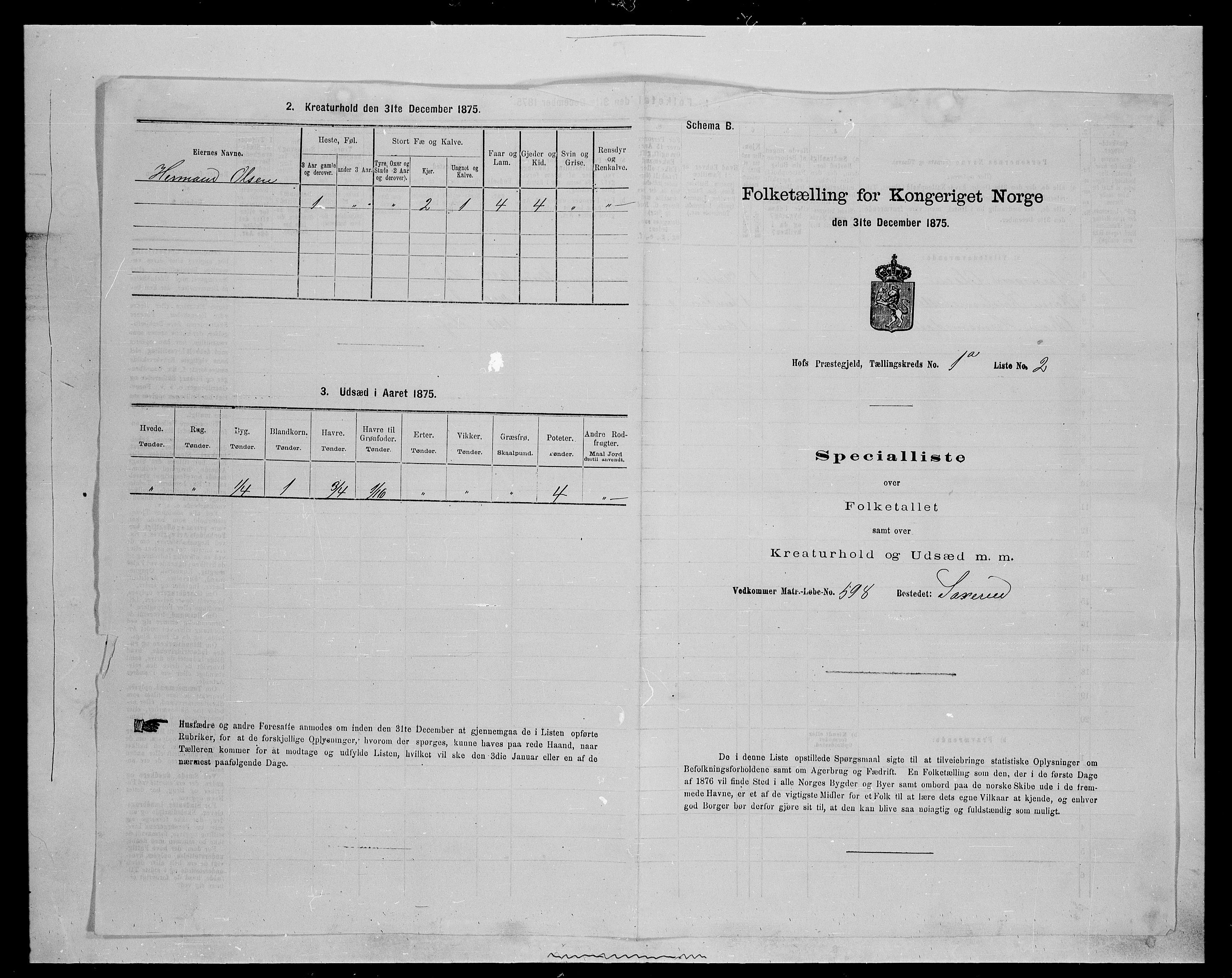 SAH, 1875 census for 0424P Hof, 1875, p. 12