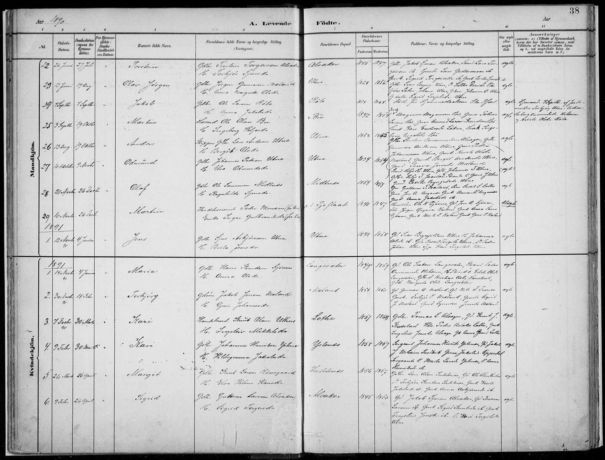 Ullensvang sokneprestembete, SAB/A-78701/H/Haa: Parish register (official) no. E  1, 1882-1921, p. 38