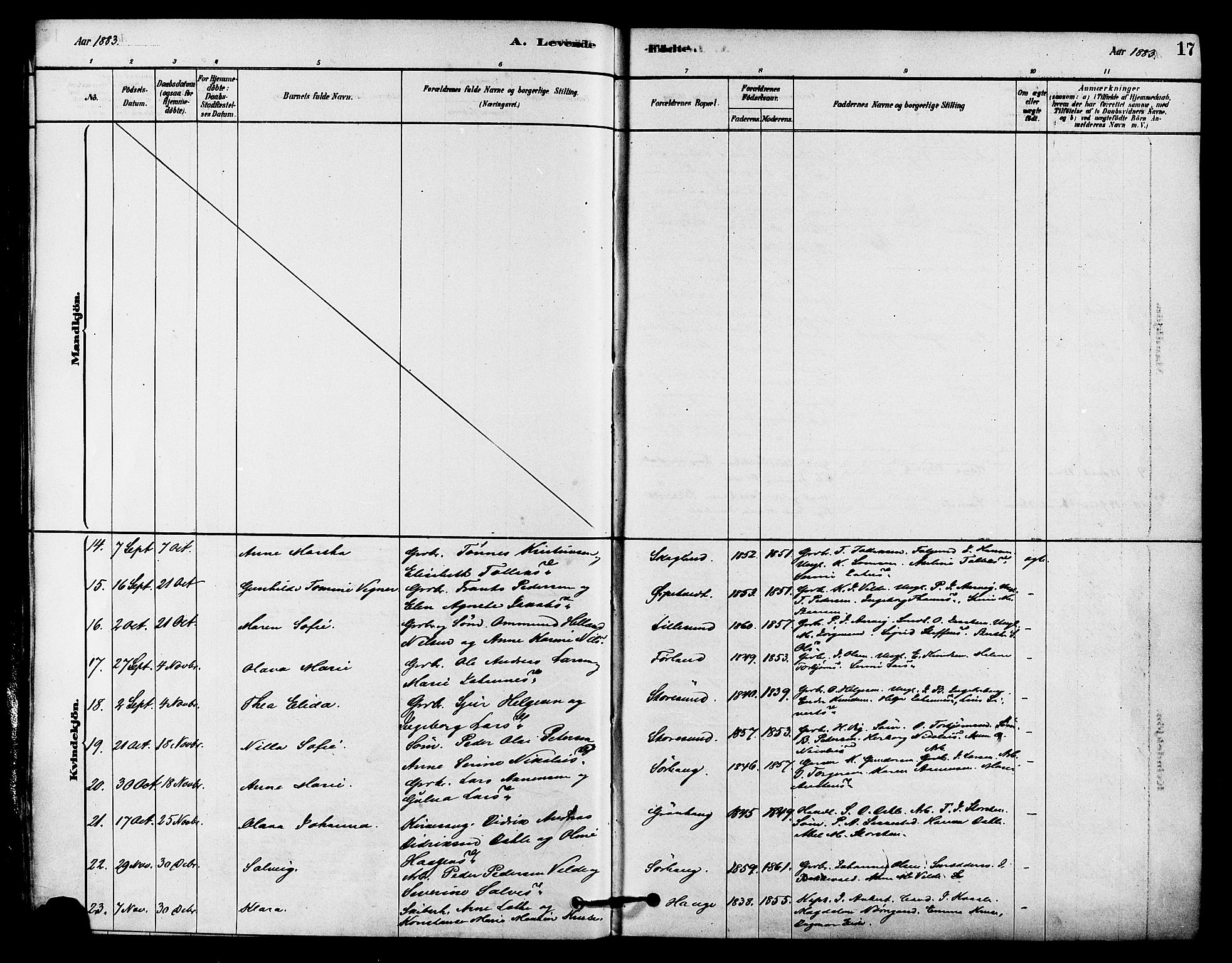 Haugesund sokneprestkontor, AV/SAST-A -101863/H/Ha/Haa/L0002: Parish register (official) no. A 2, 1878-1886, p. 17