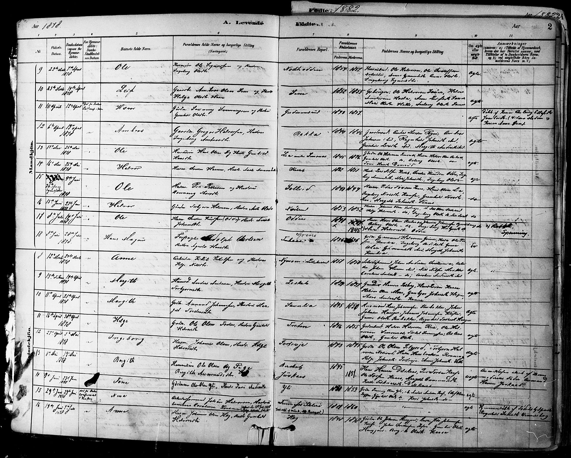 Heddal kirkebøker, AV/SAKO-A-268/F/Fa/L0008: Parish register (official) no. I 8, 1878-1903, p. 2