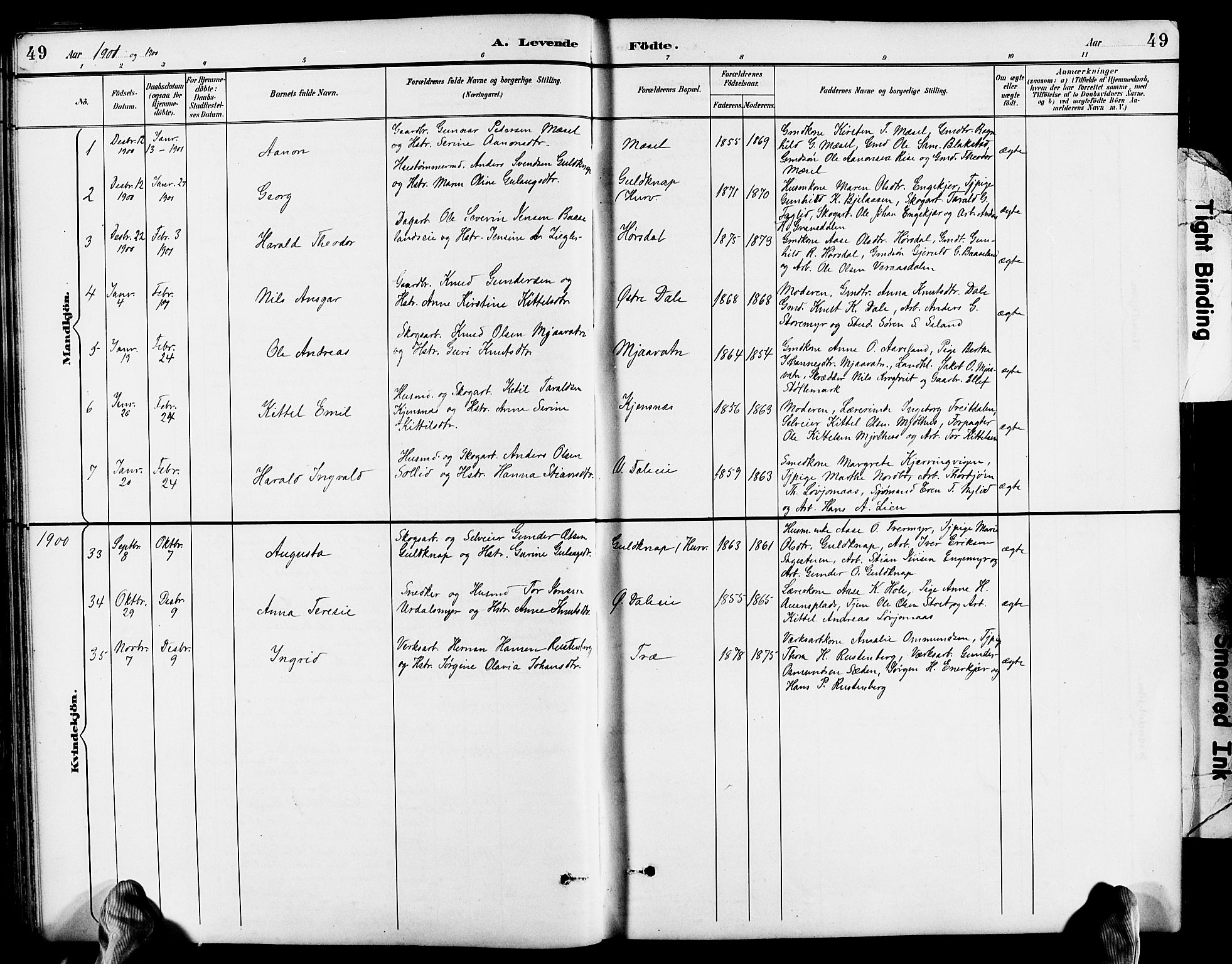 Froland sokneprestkontor, SAK/1111-0013/F/Fb/L0010: Parish register (copy) no. B 10, 1893-1920, p. 49