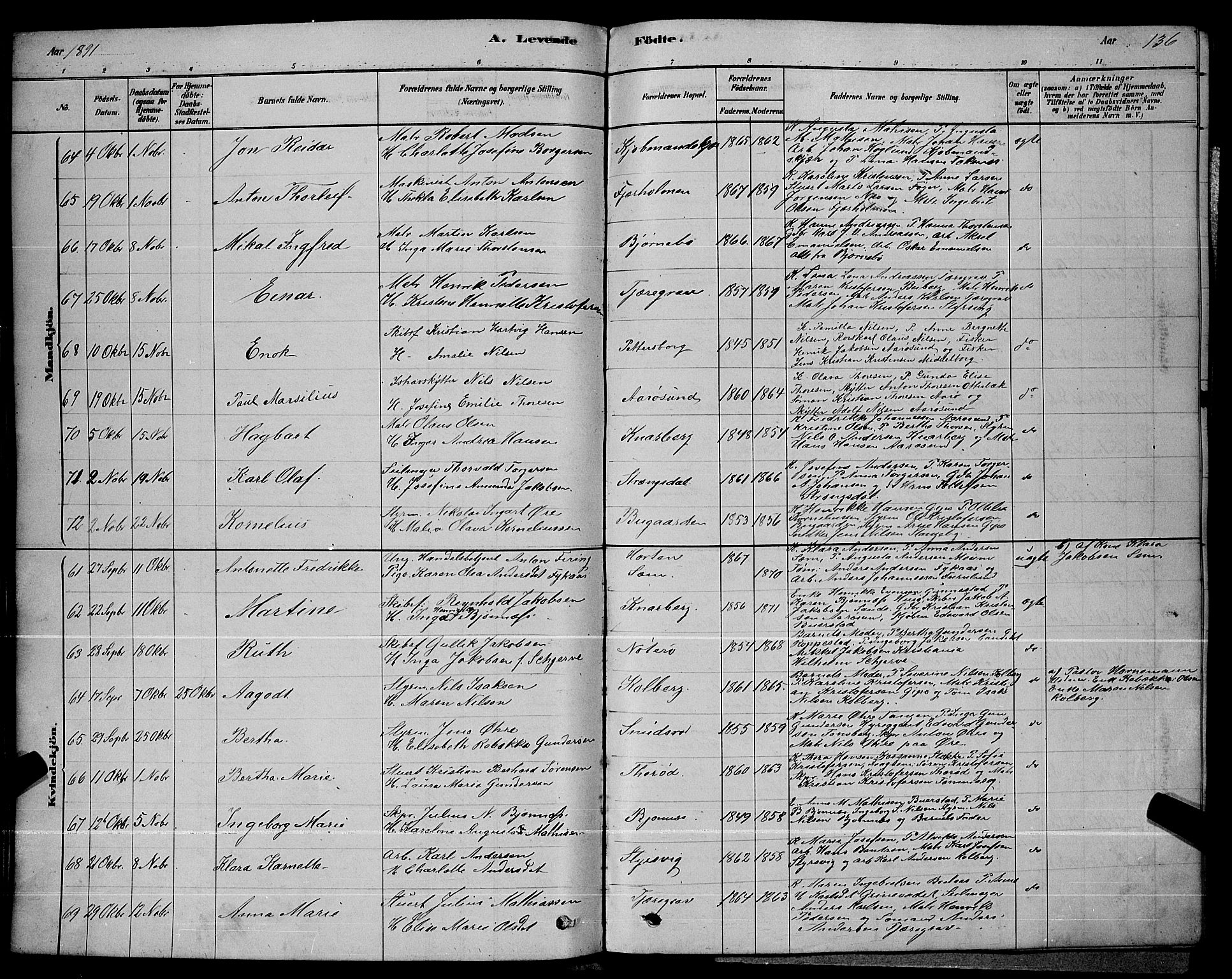 Nøtterøy kirkebøker, AV/SAKO-A-354/G/Ga/L0003: Parish register (copy) no. I 3, 1878-1893, p. 136