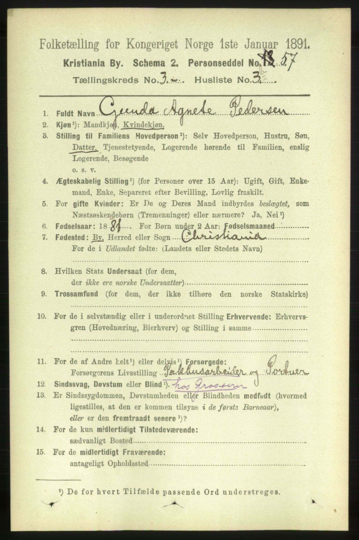 RA, 1891 census for 0301 Kristiania, 1891, p. 1313