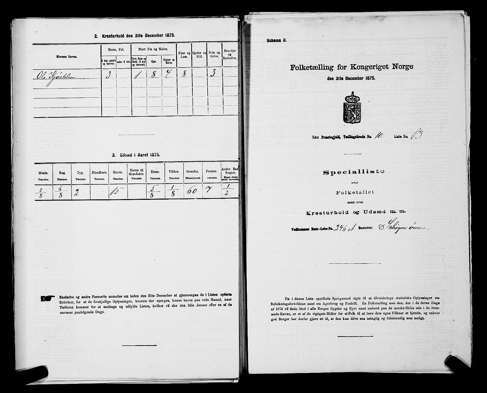 RA, 1875 census for 0236P Nes, 1875, p. 1869