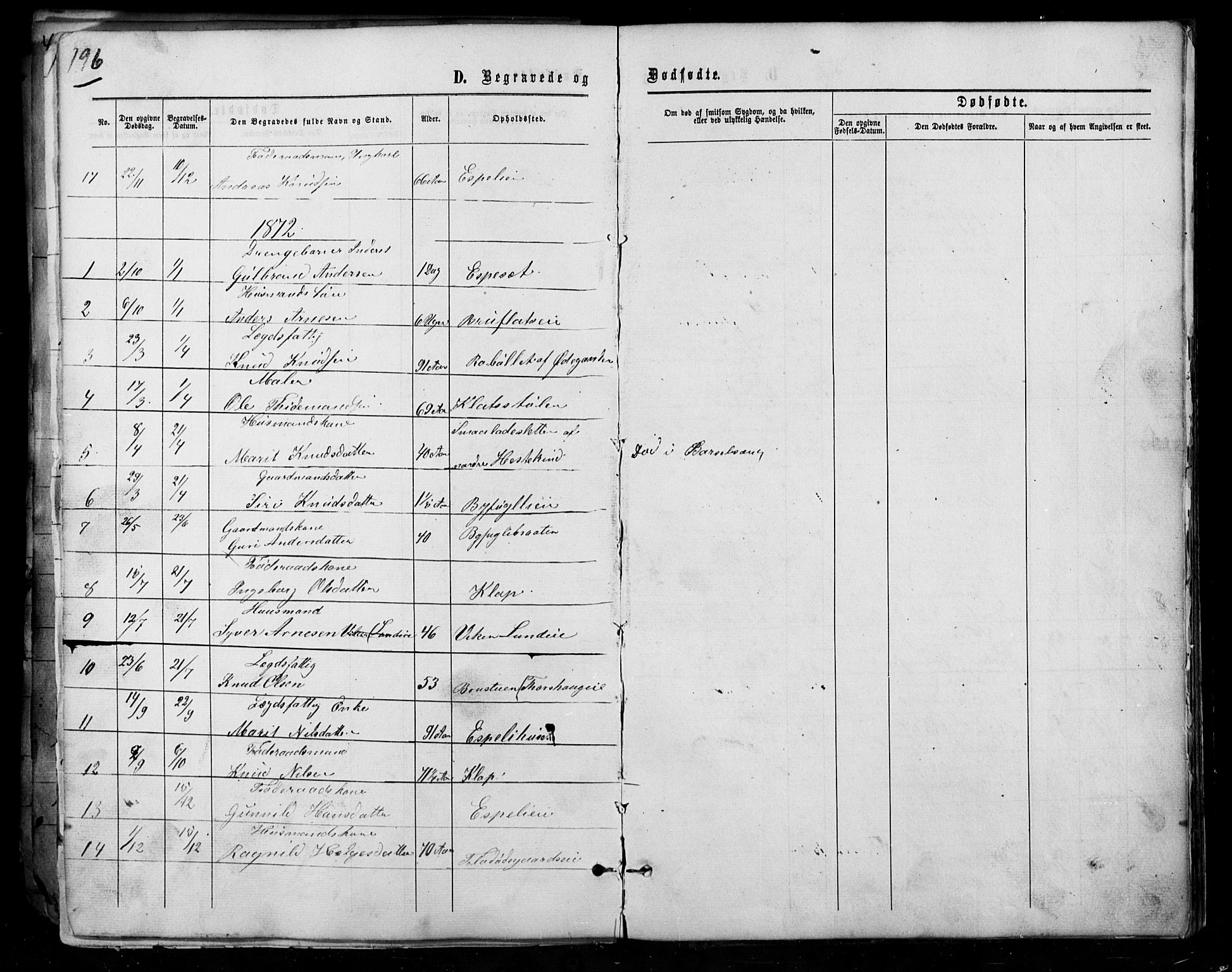 Sør-Aurdal prestekontor, SAH/PREST-128/H/Ha/Hab/L0007: Parish register (copy) no. 7, 1866-1893, p. 196
