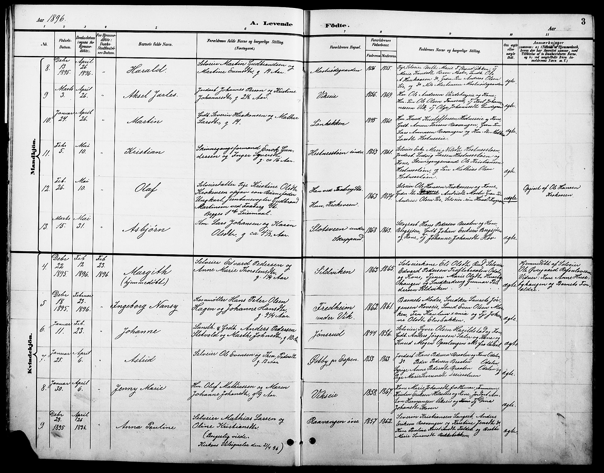 Stange prestekontor, SAH/PREST-002/L/L0011: Parish register (copy) no. 11, 1895-1917, p. 3