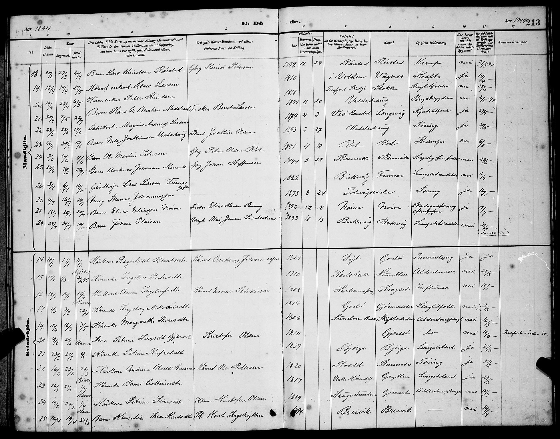 Ministerialprotokoller, klokkerbøker og fødselsregistre - Møre og Romsdal, SAT/A-1454/528/L0430: Parish register (copy) no. 528C11, 1884-1899, p. 213