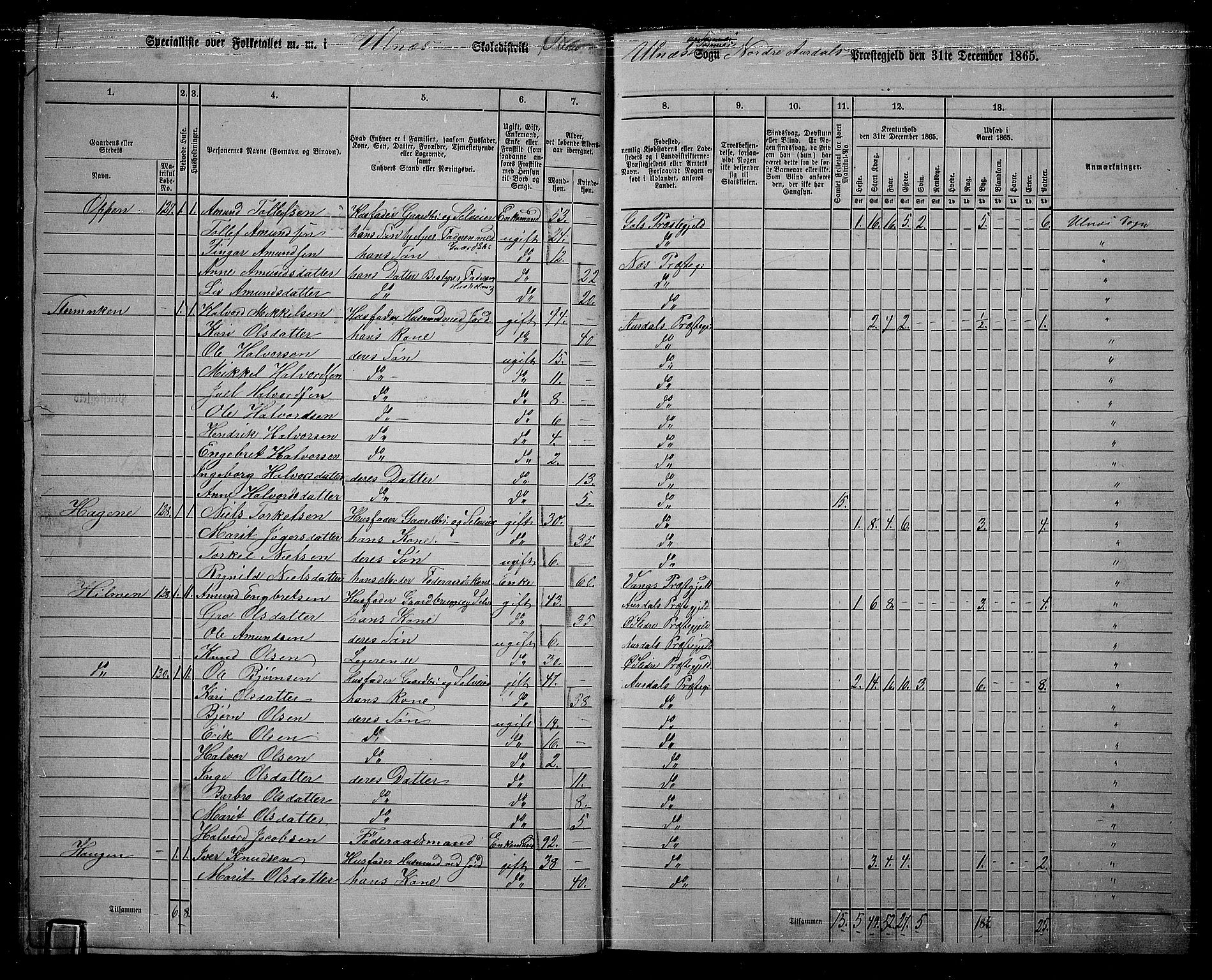 RA, 1865 census for Nord-Aurdal, 1865, p. 123