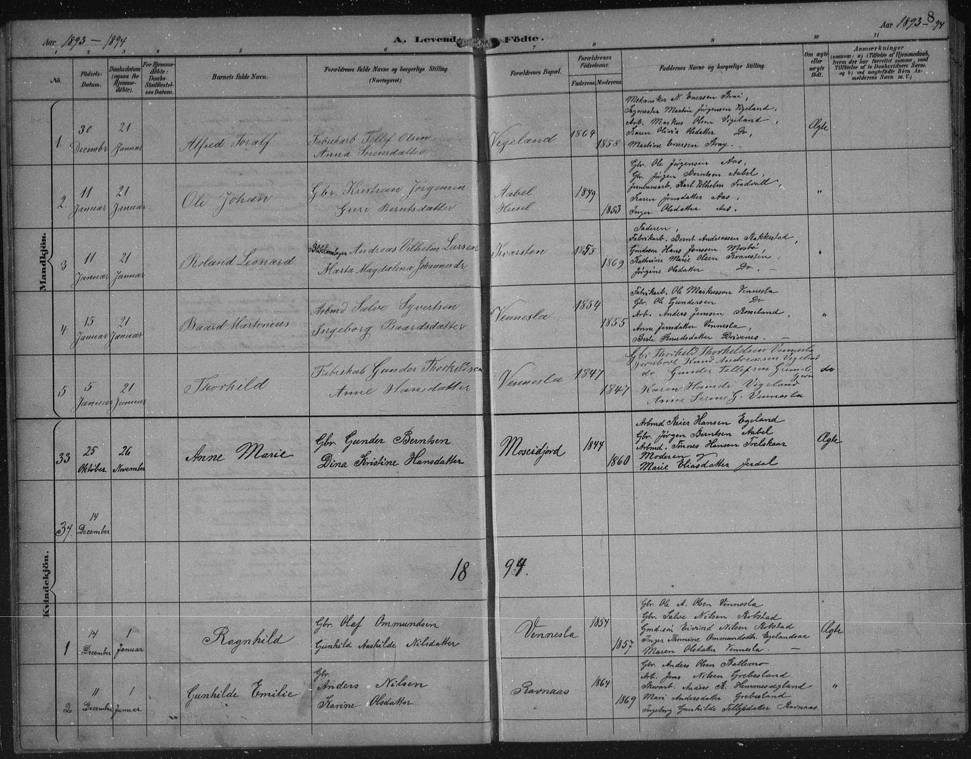 Vennesla sokneprestkontor, AV/SAK-1111-0045/Fb/Fbb/L0004: Parish register (copy) no. B 4, 1893-1902, p. 9