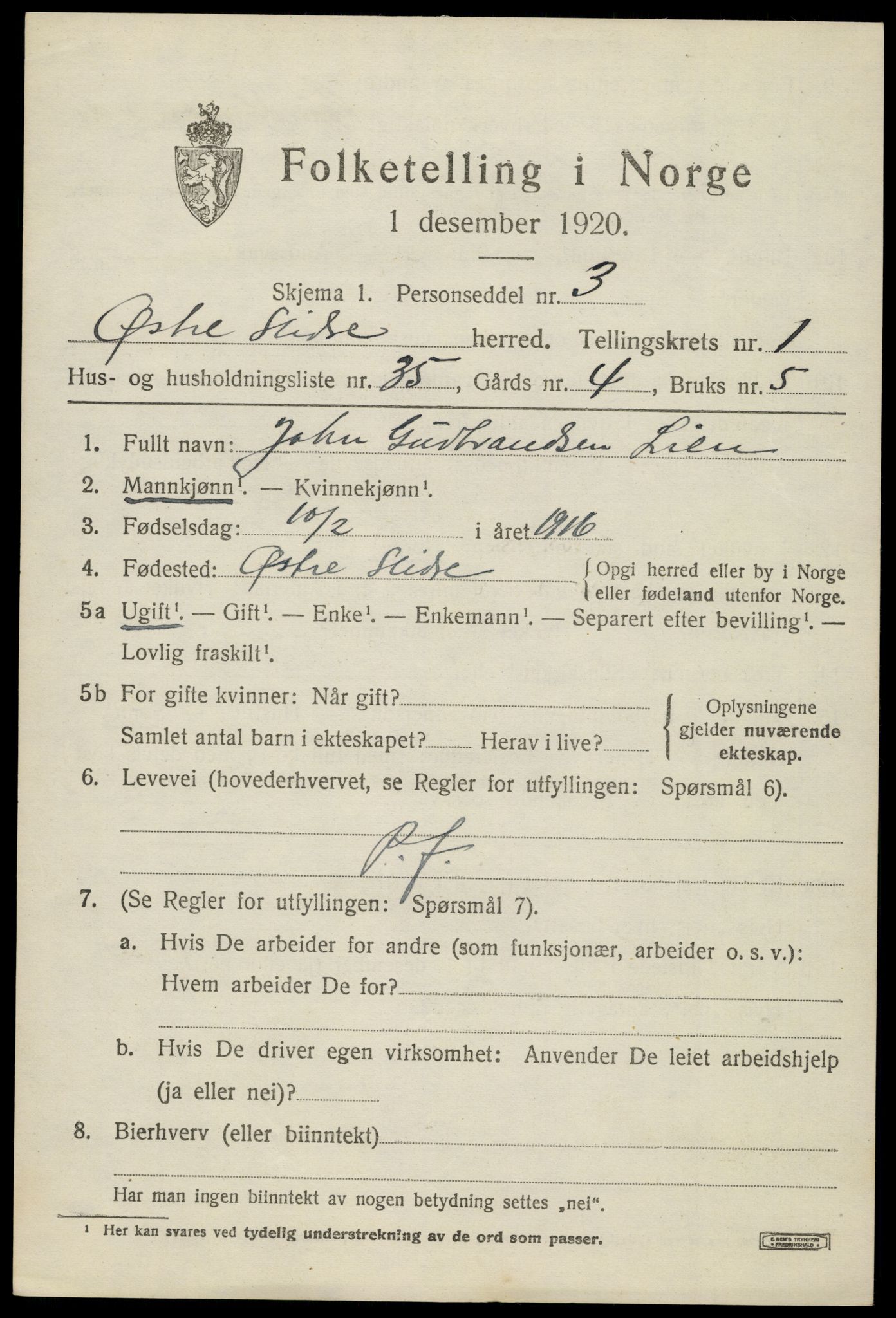 SAH, 1920 census for Øystre Slidre, 1920, p. 1421