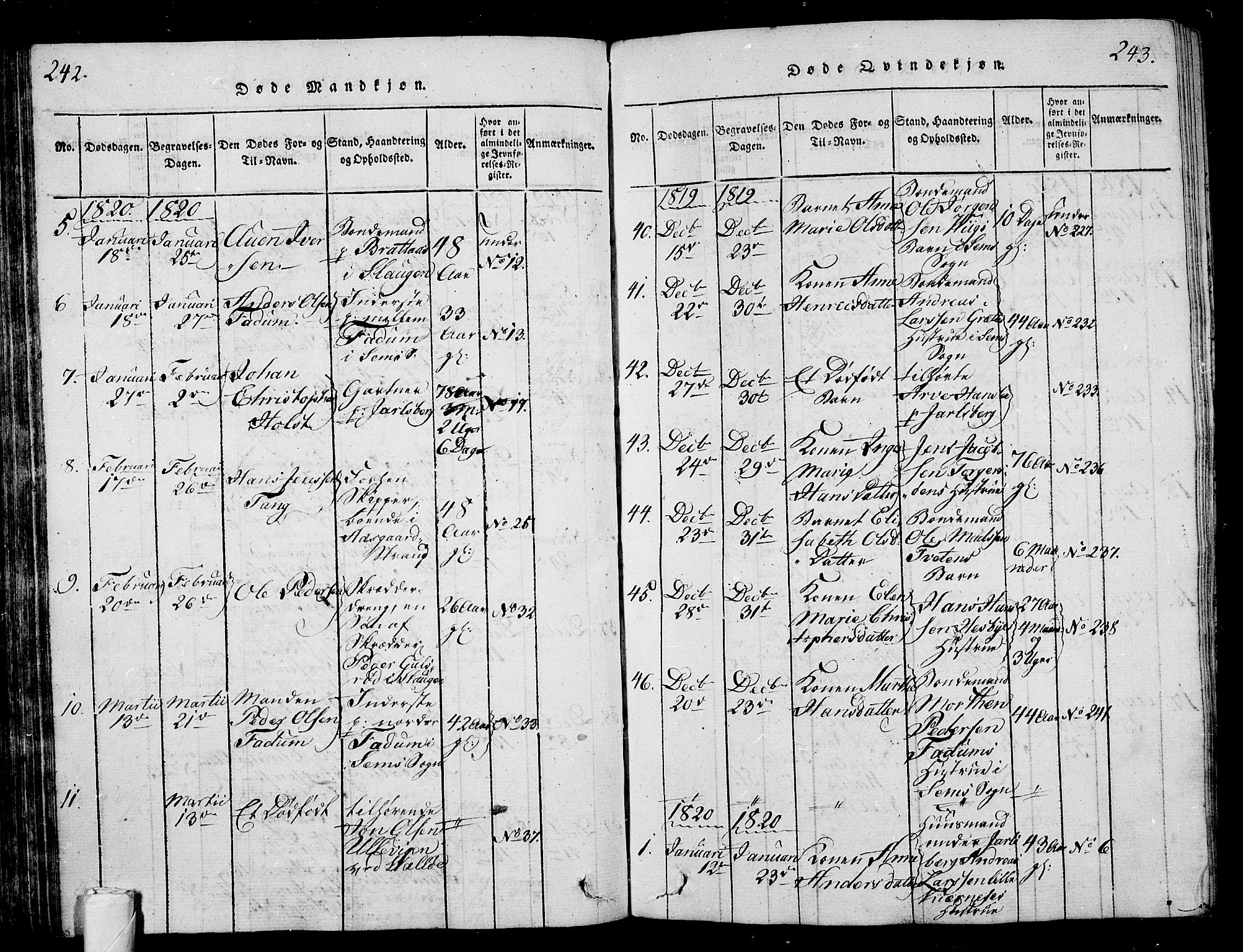 Sem kirkebøker, AV/SAKO-A-5/G/Ga/L0001: Parish register (copy) no. I 1, 1814-1825, p. 242-243