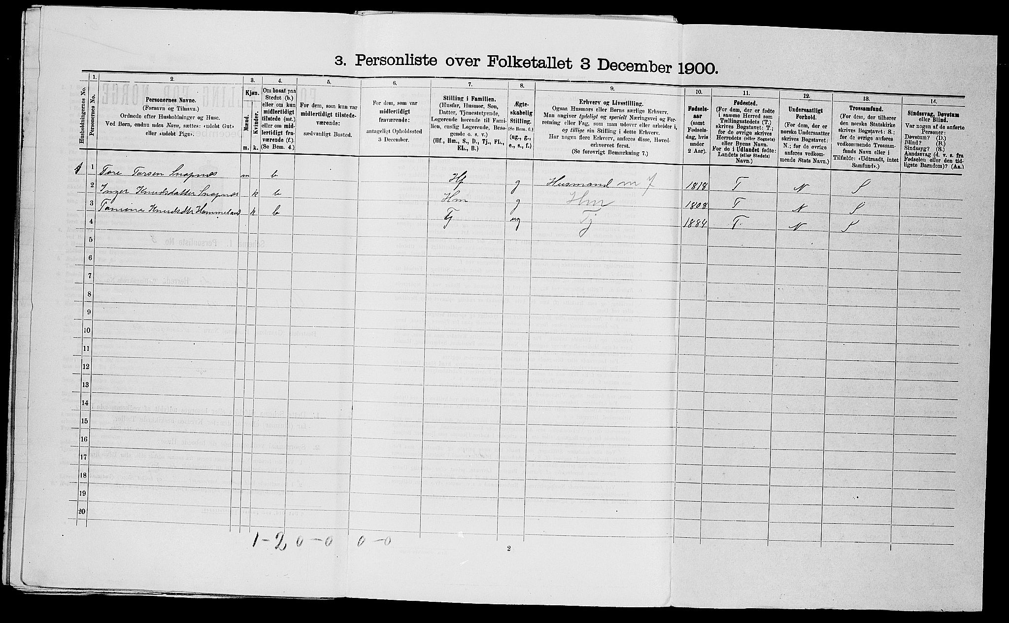 SAST, 1900 census for Strand, 1900, p. 656
