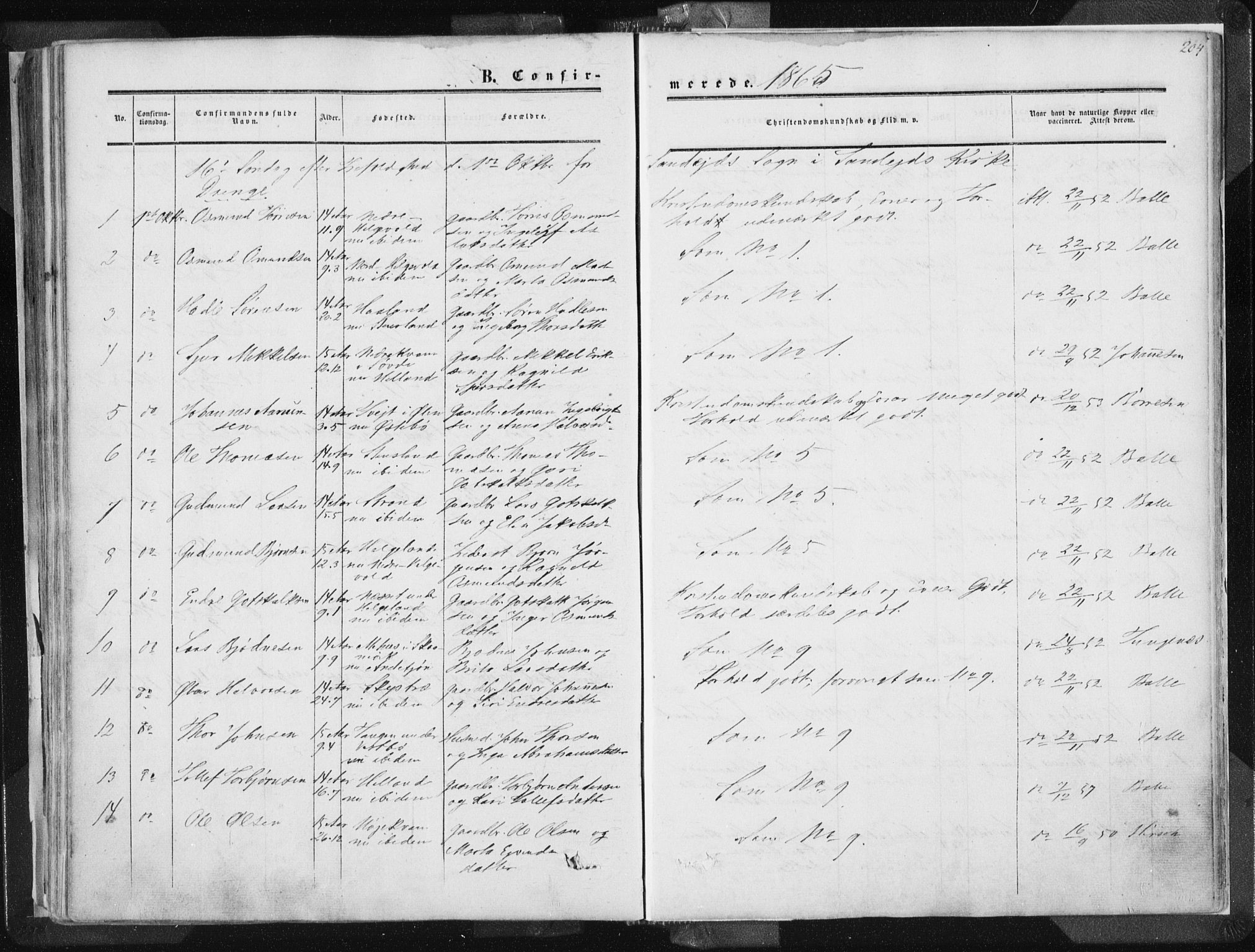 Vikedal sokneprestkontor, AV/SAST-A-101840/01/IV: Parish register (official) no. A 6.1, 1851-1867, p. 204