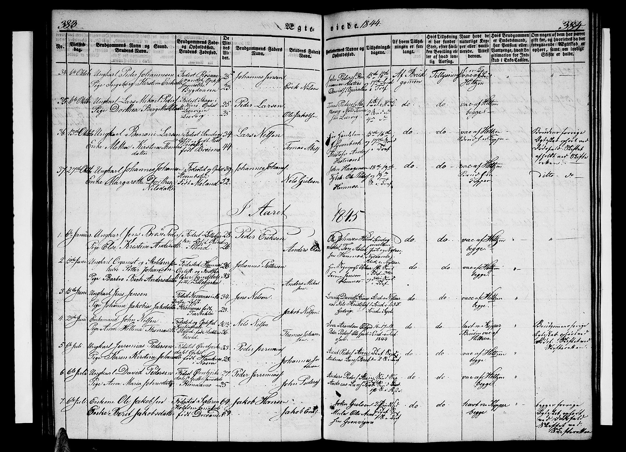 Ministerialprotokoller, klokkerbøker og fødselsregistre - Nordland, AV/SAT-A-1459/825/L0364: Parish register (copy) no. 825C01, 1841-1863, p. 383-384