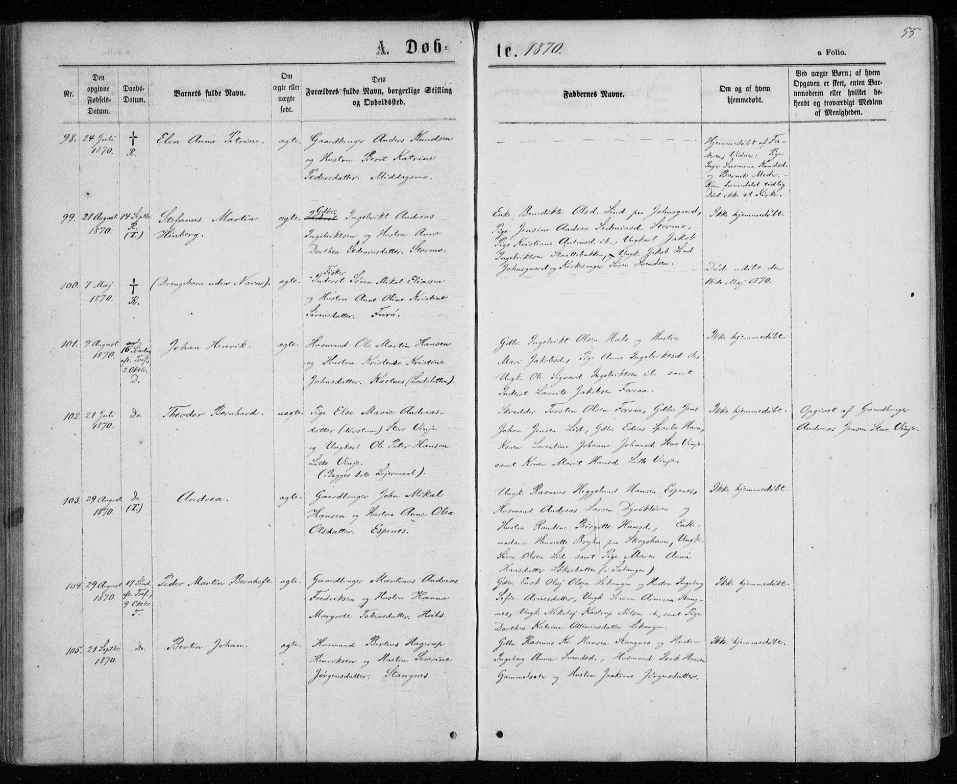 Tranøy sokneprestkontor, AV/SATØ-S-1313/I/Ia/Iaa/L0008kirke: Parish register (official) no. 8, 1867-1877, p. 55