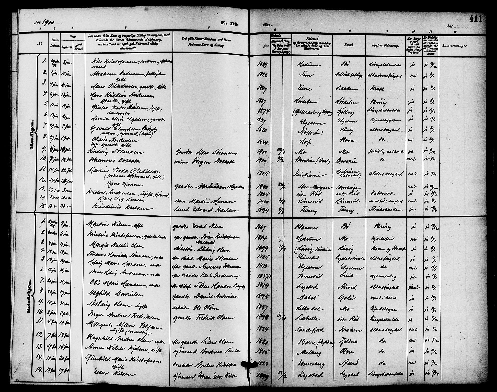 Sandar kirkebøker, SAKO/A-243/G/Ga/L0002: Parish register (copy) no. 2, 1900-1915, p. 411