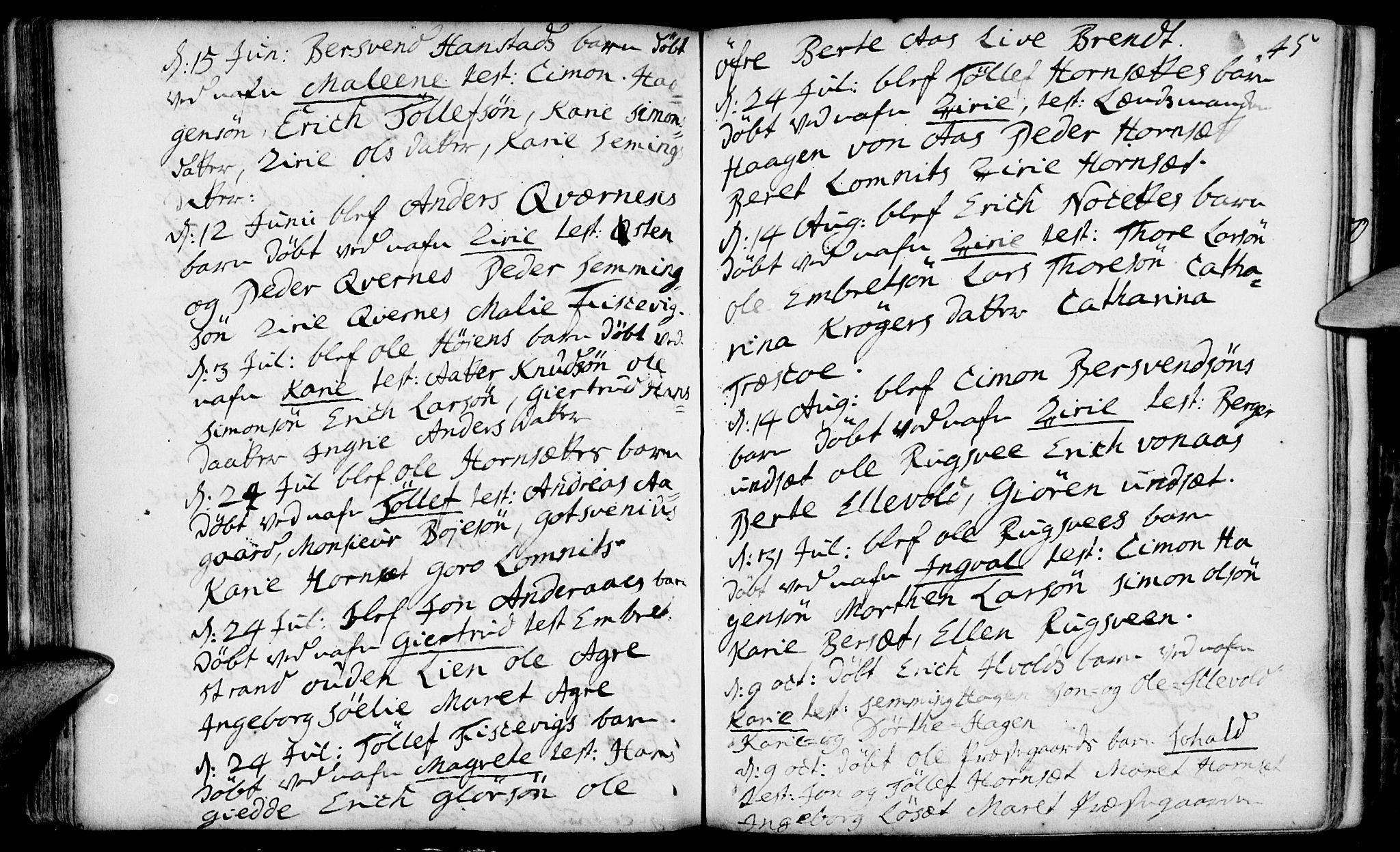 Rendalen prestekontor, AV/SAH-PREST-054/H/Ha/Haa/L0001: Parish register (official) no. 1, 1733-1787, p. 45