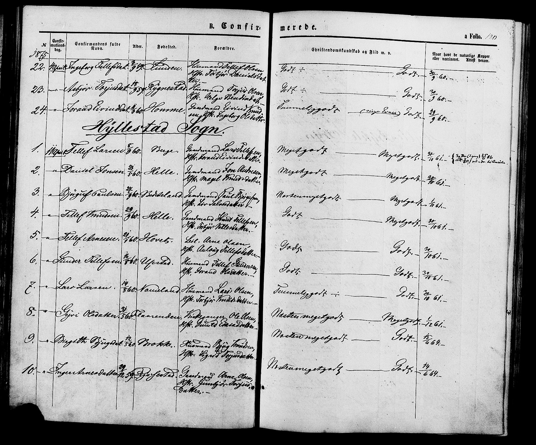 Valle sokneprestkontor, AV/SAK-1111-0044/F/Fa/Fac/L0008: Parish register (official) no. A 8, 1868-1882, p. 120