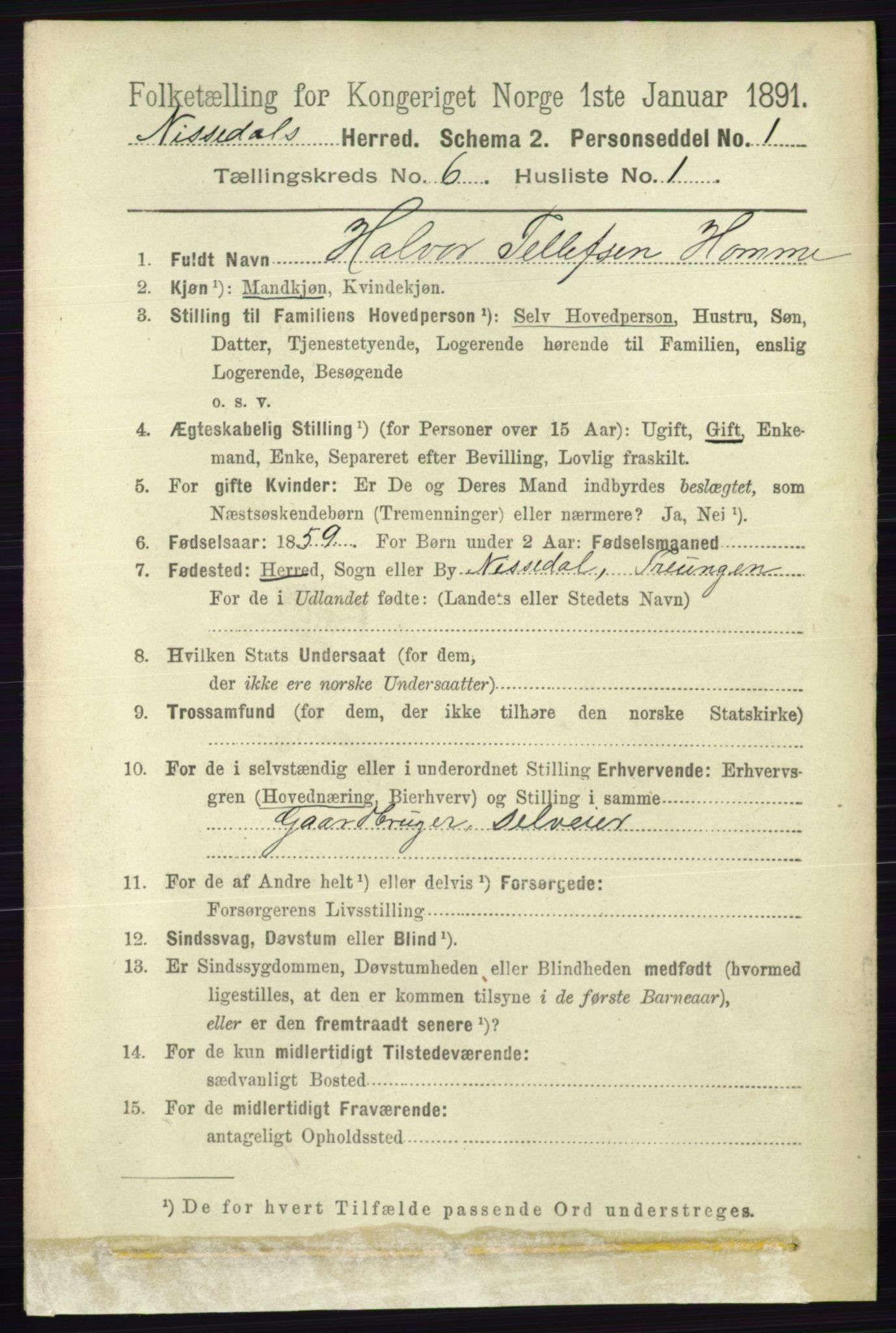 RA, 1891 census for 0830 Nissedal, 1891, p. 1332