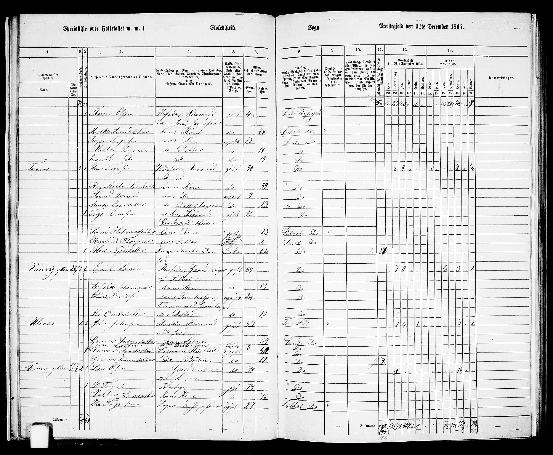 RA, 1865 census for Sand, 1865, p. 17