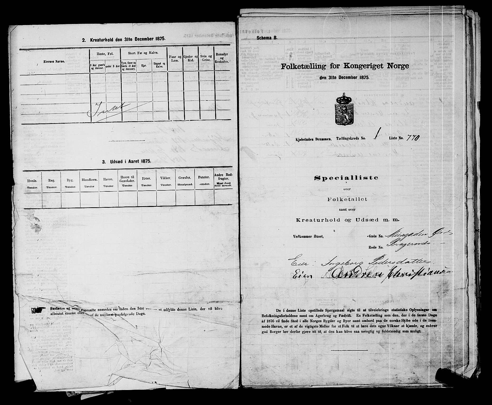 SAKO, 1875 census for 0602 Drammen, 1875, p. 132