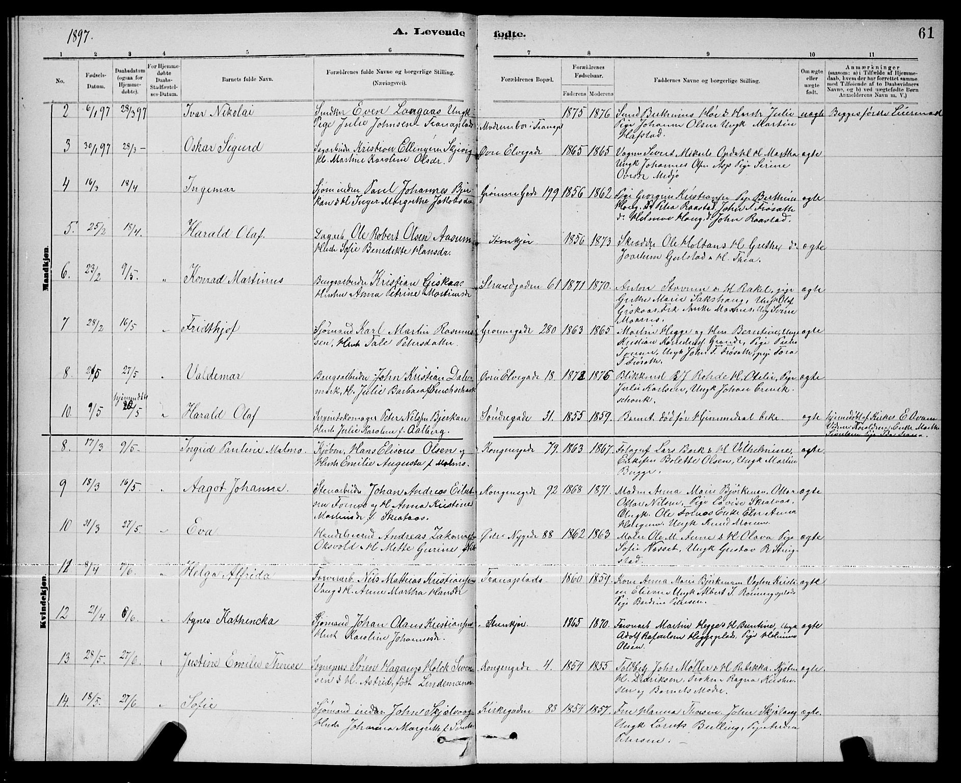 Ministerialprotokoller, klokkerbøker og fødselsregistre - Nord-Trøndelag, SAT/A-1458/739/L0374: Parish register (copy) no. 739C02, 1883-1898, p. 61