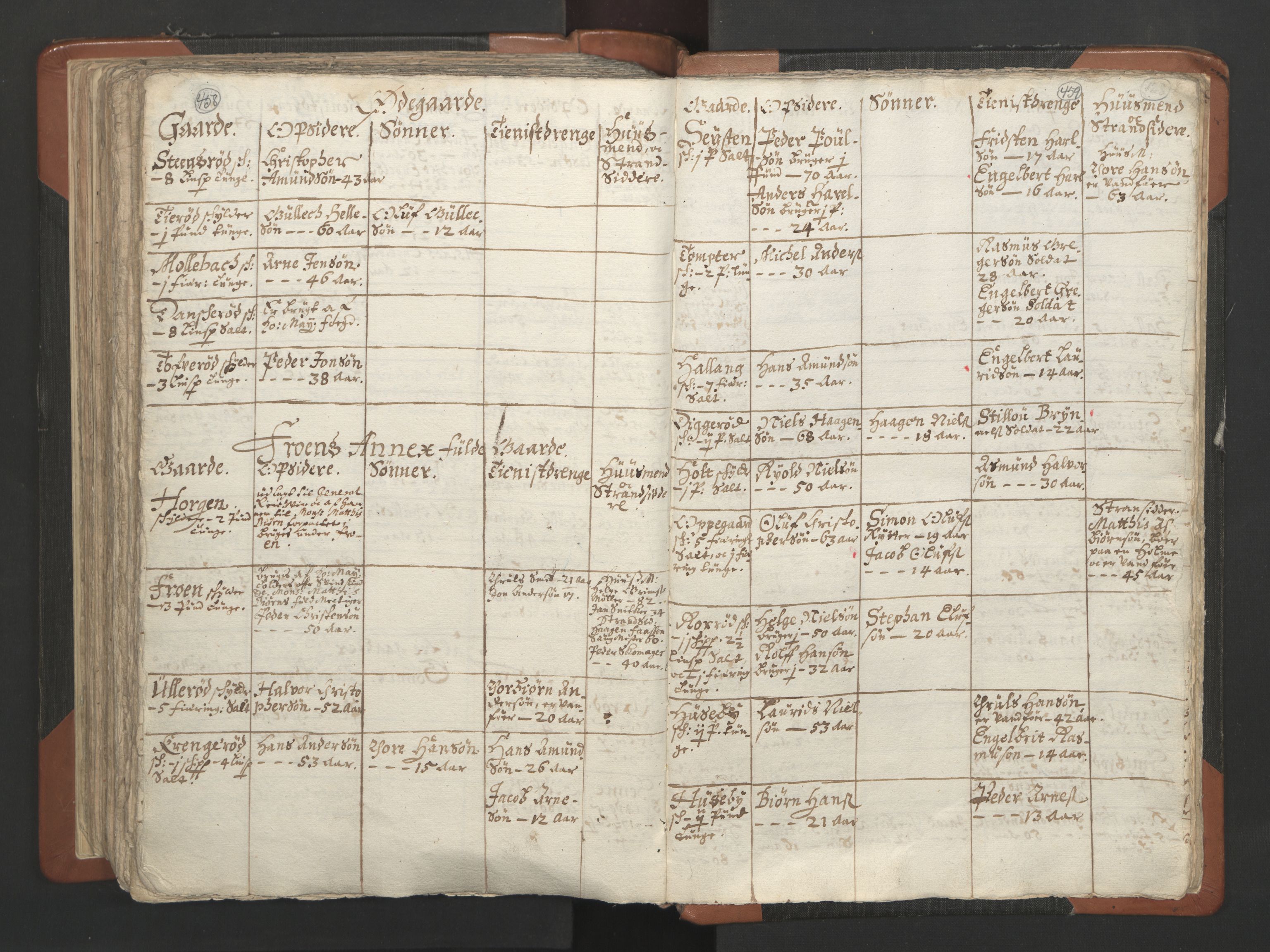 RA, Vicar's Census 1664-1666, no. 2: Øvre Borgesyssel deanery, 1664-1666, p. 458-459