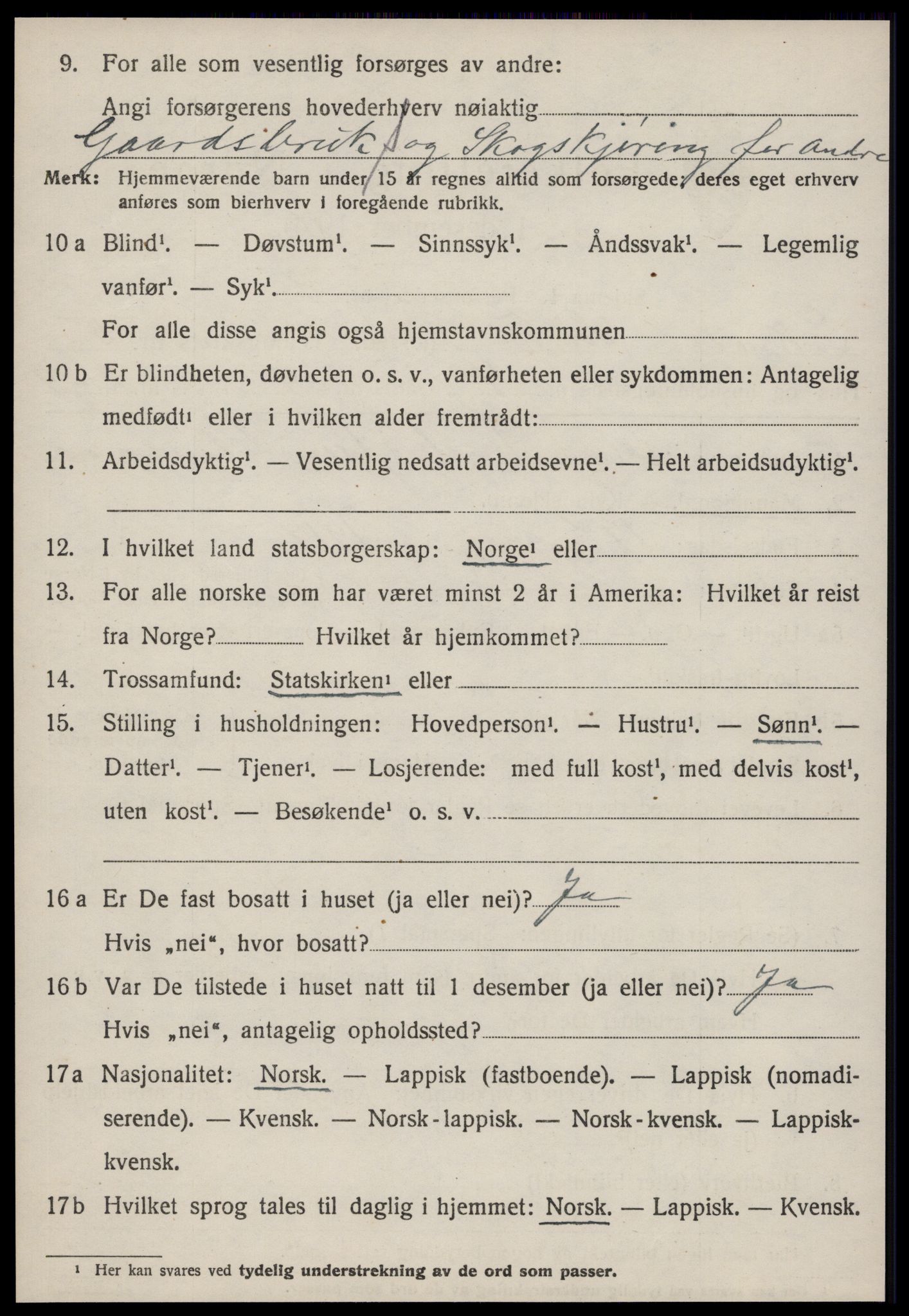 SAT, 1920 census for Soknedal, 1920, p. 2707