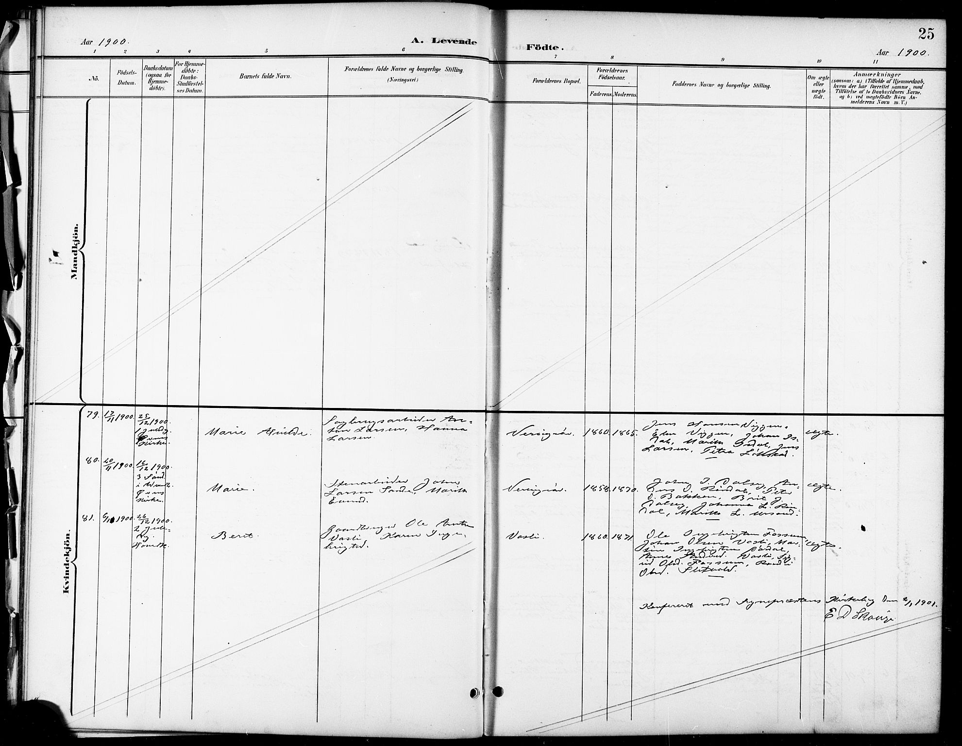 Ministerialprotokoller, klokkerbøker og fødselsregistre - Sør-Trøndelag, SAT/A-1456/668/L0819: Parish register (copy) no. 668C08, 1899-1912, p. 25