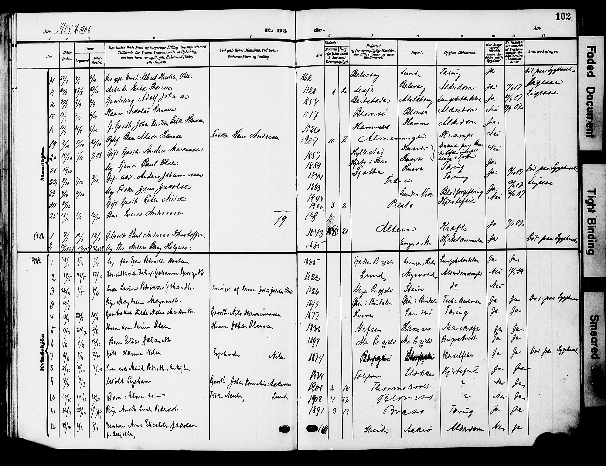 Ministerialprotokoller, klokkerbøker og fødselsregistre - Nordland, AV/SAT-A-1459/830/L0464: Parish register (copy) no. 830C06, 1906-1925, p. 102