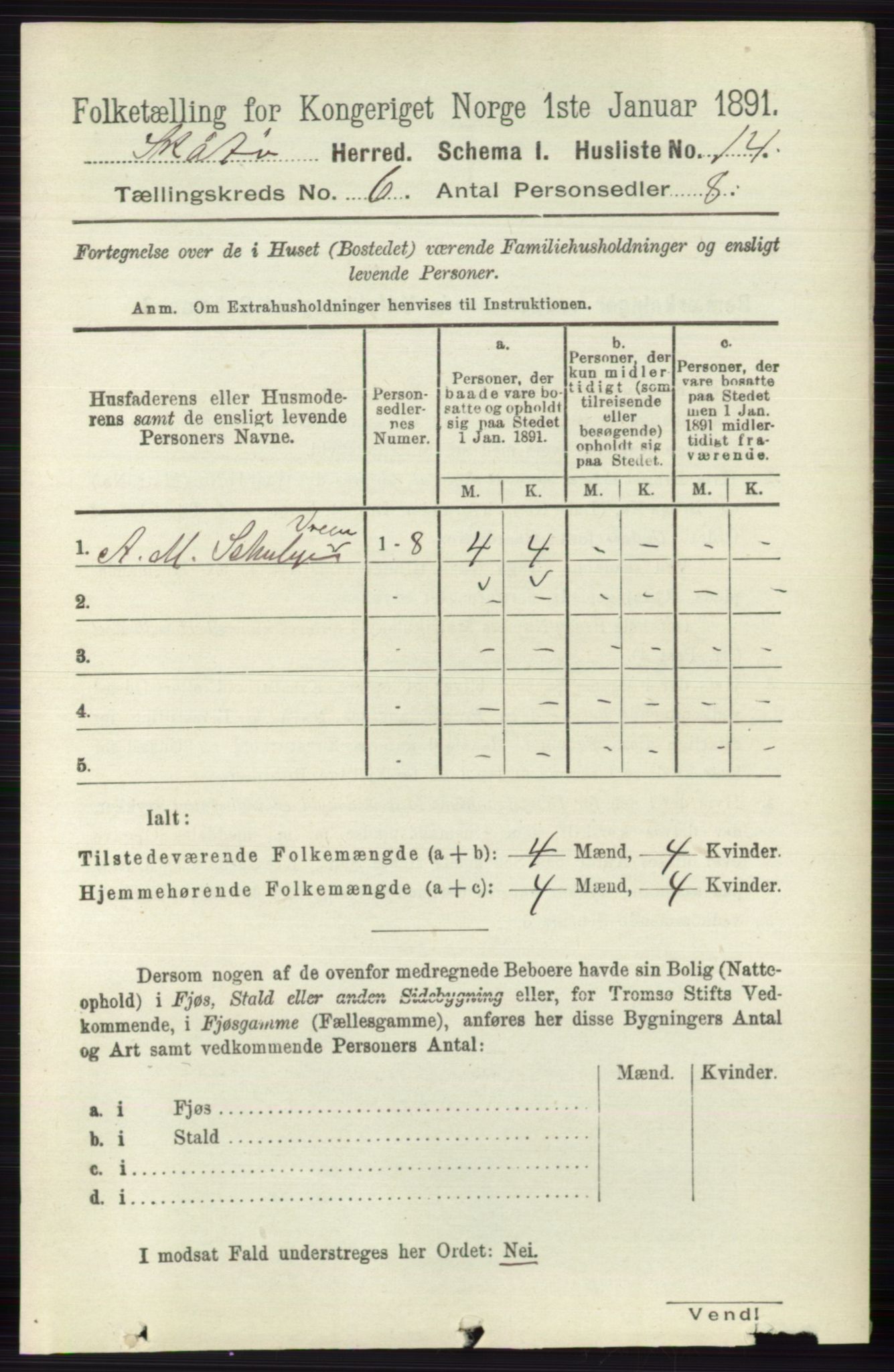 RA, 1891 census for 0815 Skåtøy, 1891, p. 2893