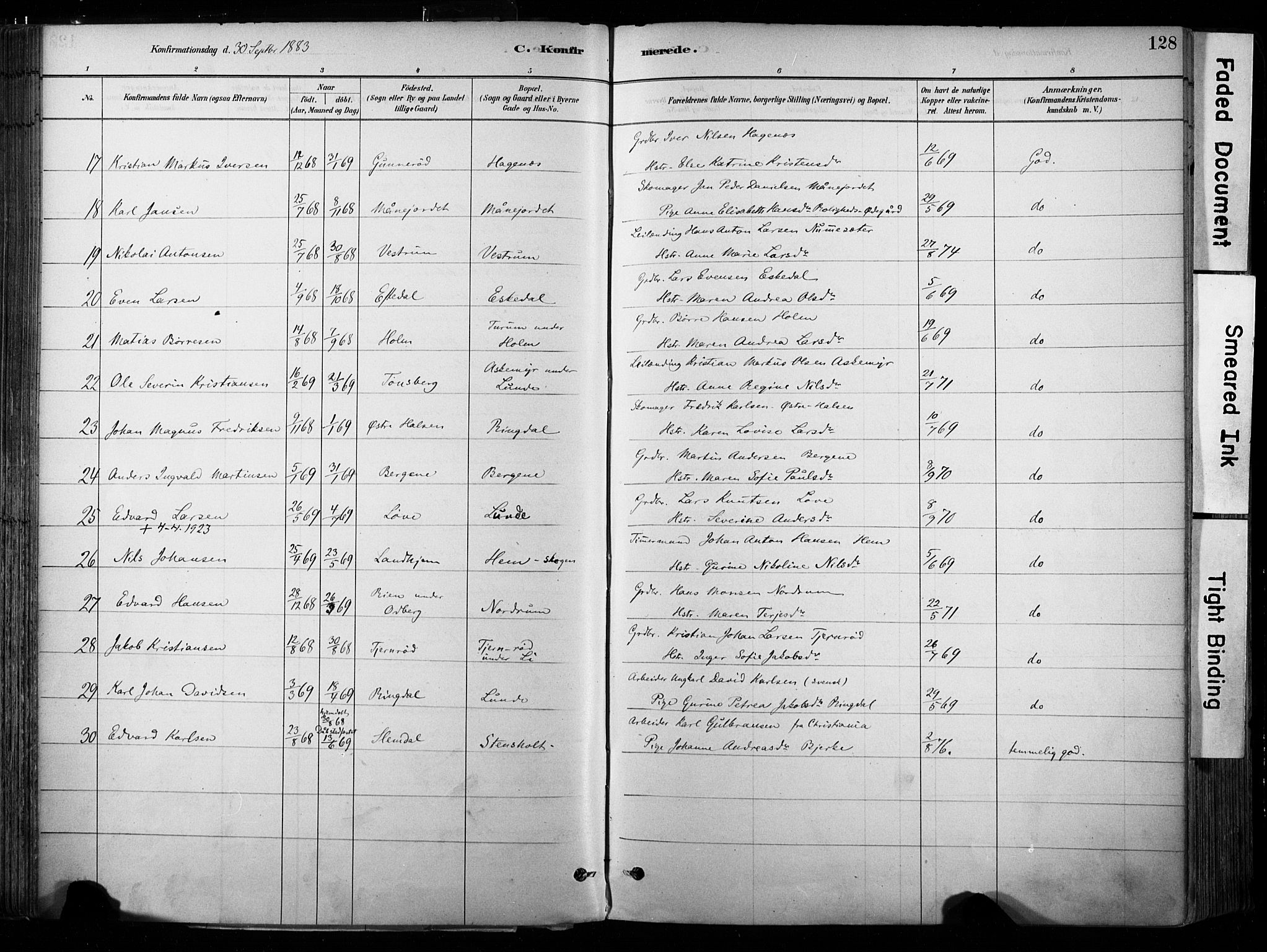 Hedrum kirkebøker, AV/SAKO-A-344/F/Fa/L0009: Parish register (official) no. I 9, 1881-1903, p. 128