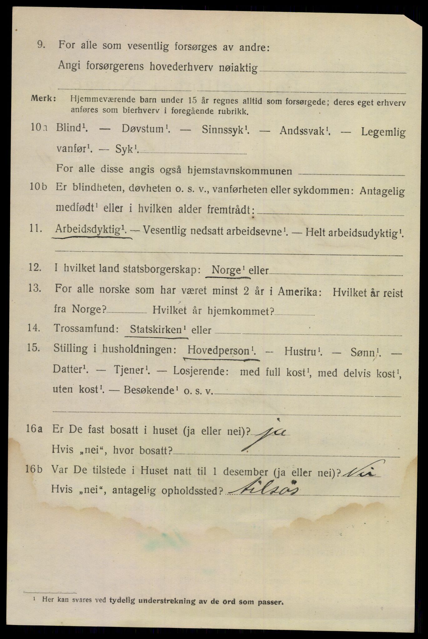 SAKO, 1920 census for Larvik, 1920, p. 29277