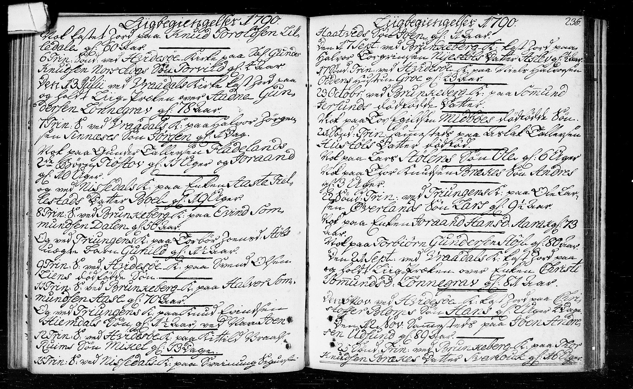 Kviteseid kirkebøker, SAKO/A-276/F/Fa/L0003: Parish register (official) no. I 3, 1787-1799, p. 236