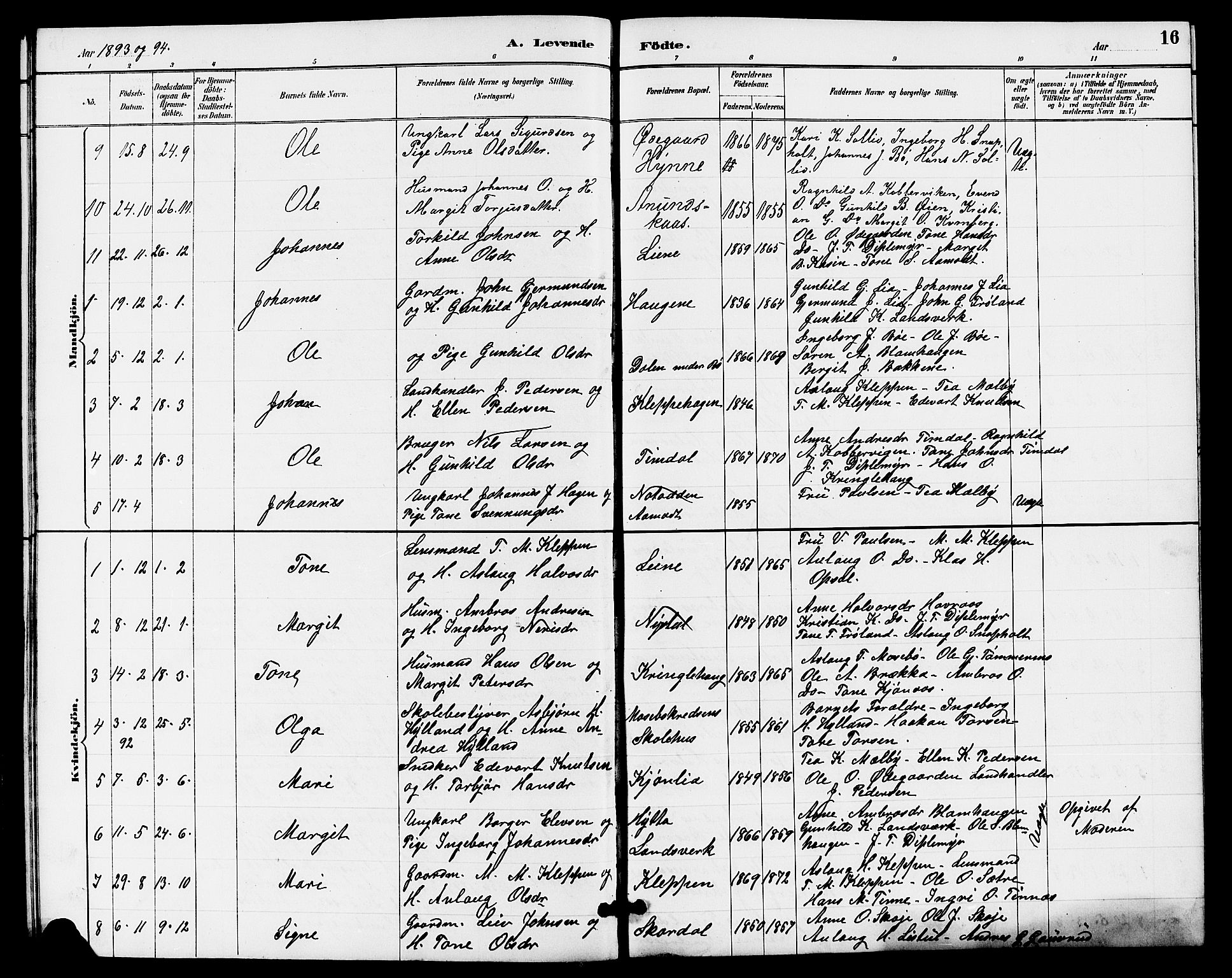 Hjartdal kirkebøker, SAKO/A-270/G/Gb/L0003: Parish register (copy) no. II 3, 1884-1899, p. 16