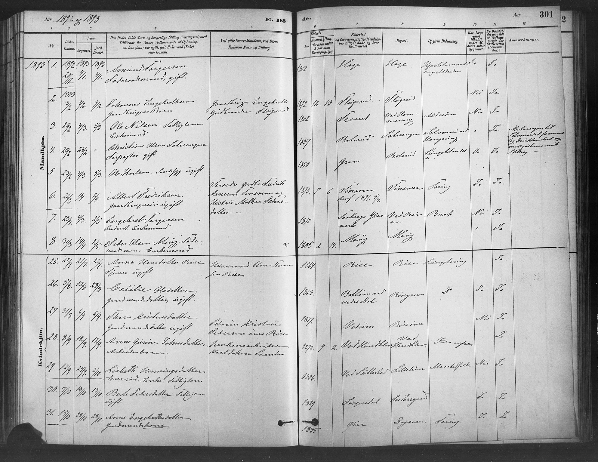 Fåberg prestekontor, SAH/PREST-086/H/Ha/Haa/L0009: Parish register (official) no. 9, 1879-1898, p. 301