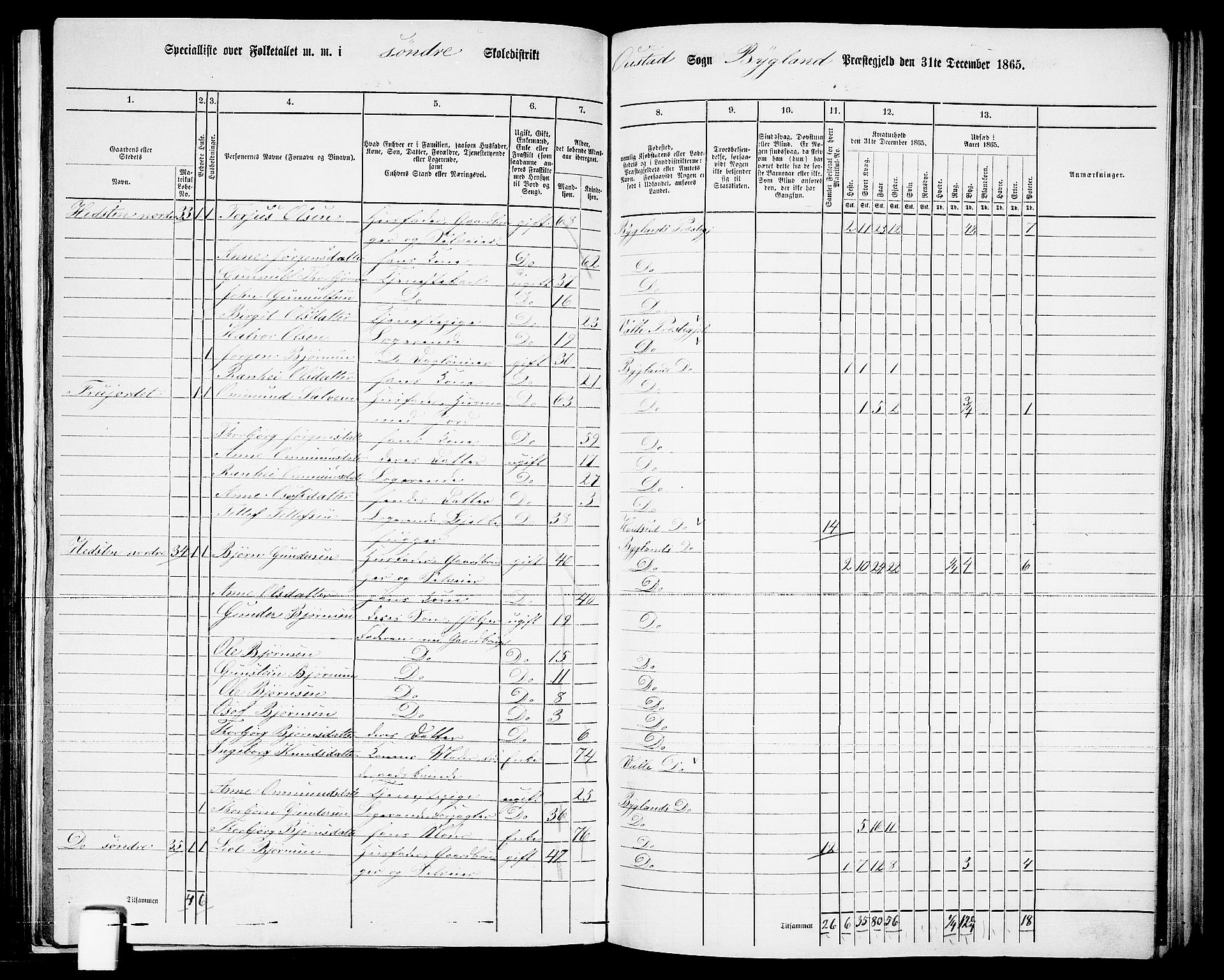 RA, 1865 census for Bygland, 1865, p. 21