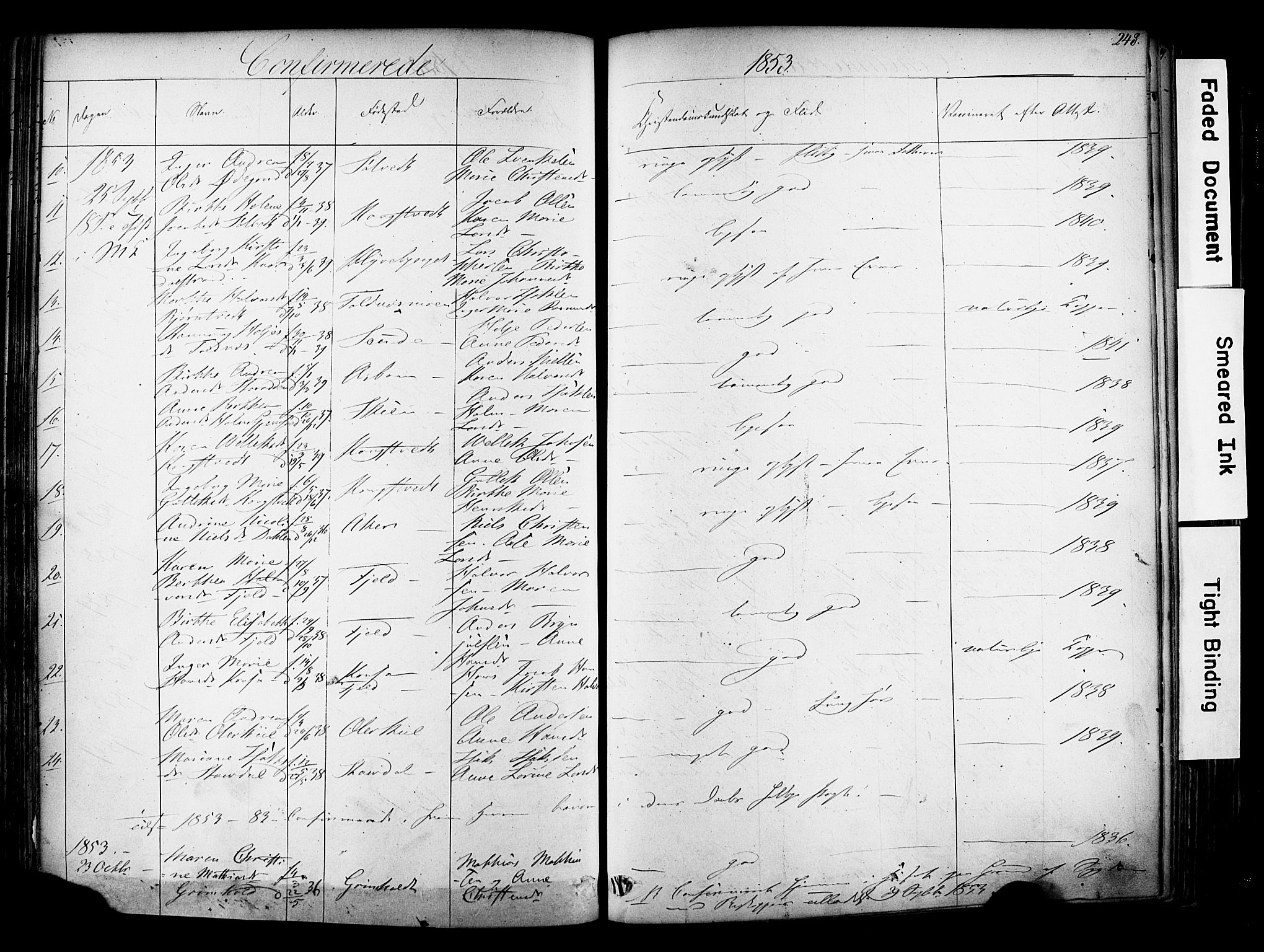 Solum kirkebøker, SAKO/A-306/F/Fa/L0006: Parish register (official) no. I 6, 1844-1855, p. 248