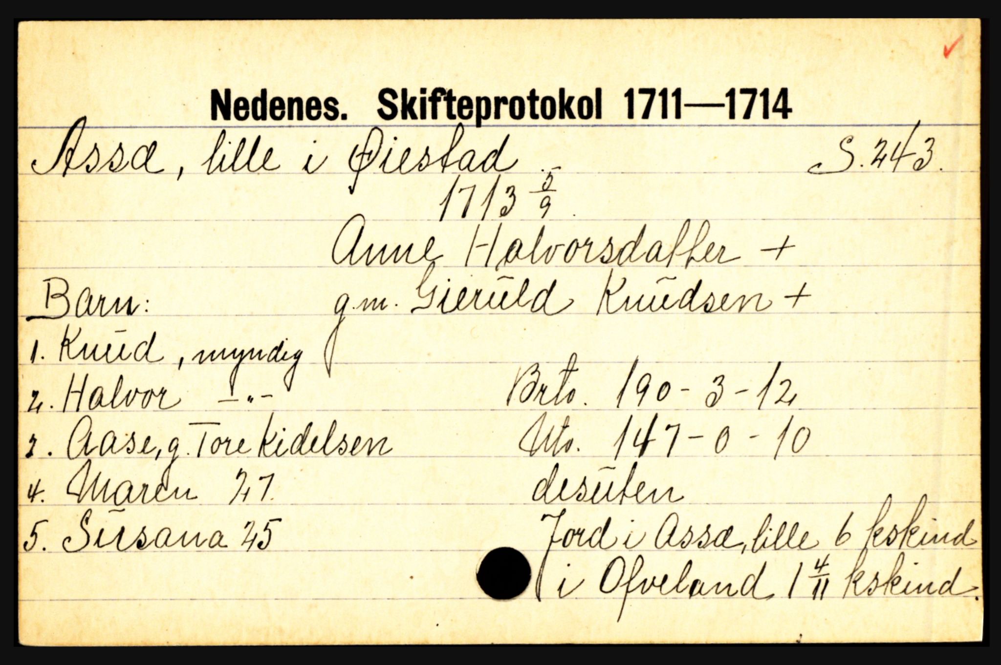 Nedenes sorenskriveri før 1824, AV/SAK-1221-0007/H, p. 1239