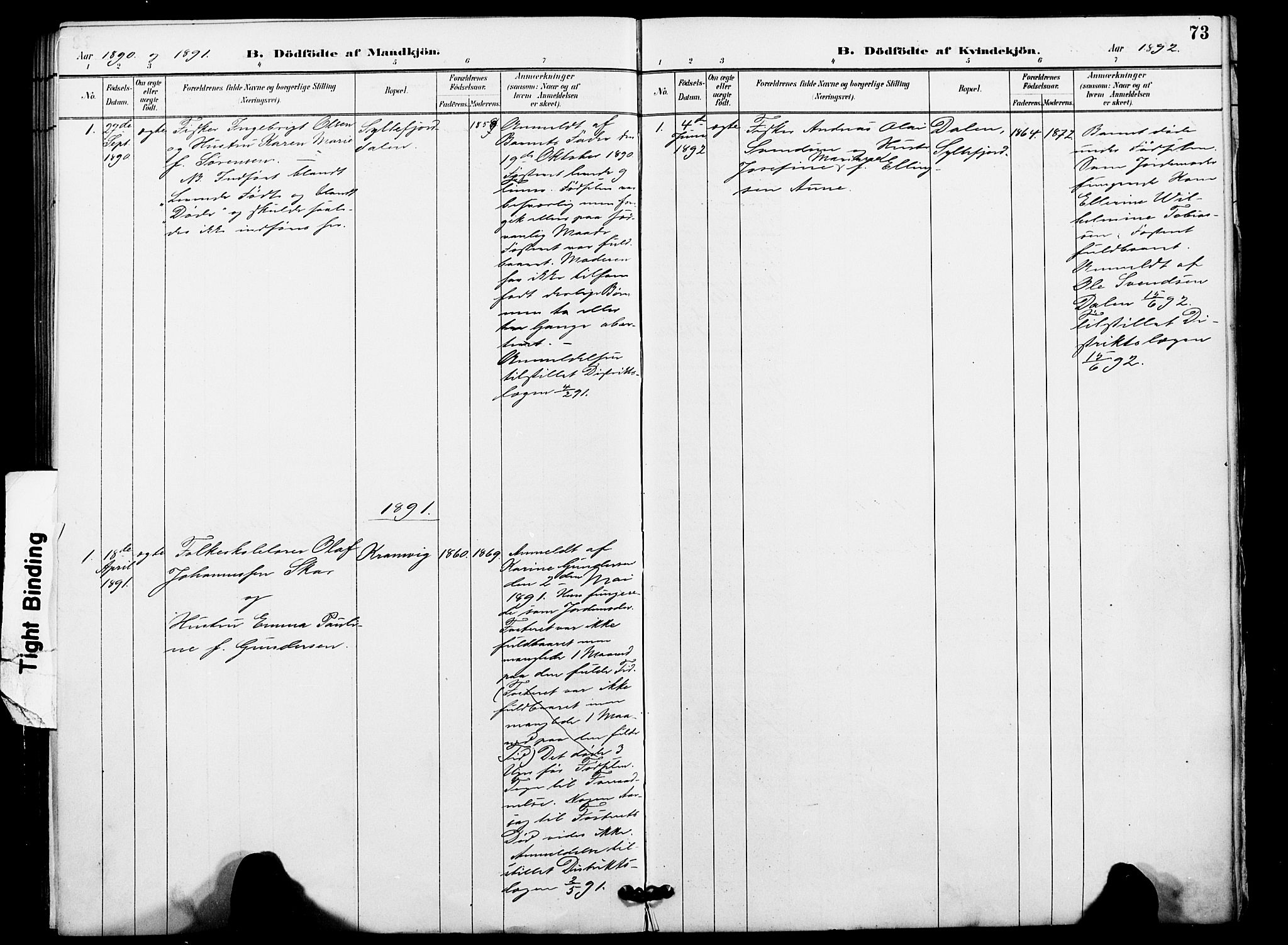 Vardø sokneprestkontor, SATØ/S-1332/H/Ha/L0009kirke: Parish register (official) no. 9, 1887-1898, p. 73