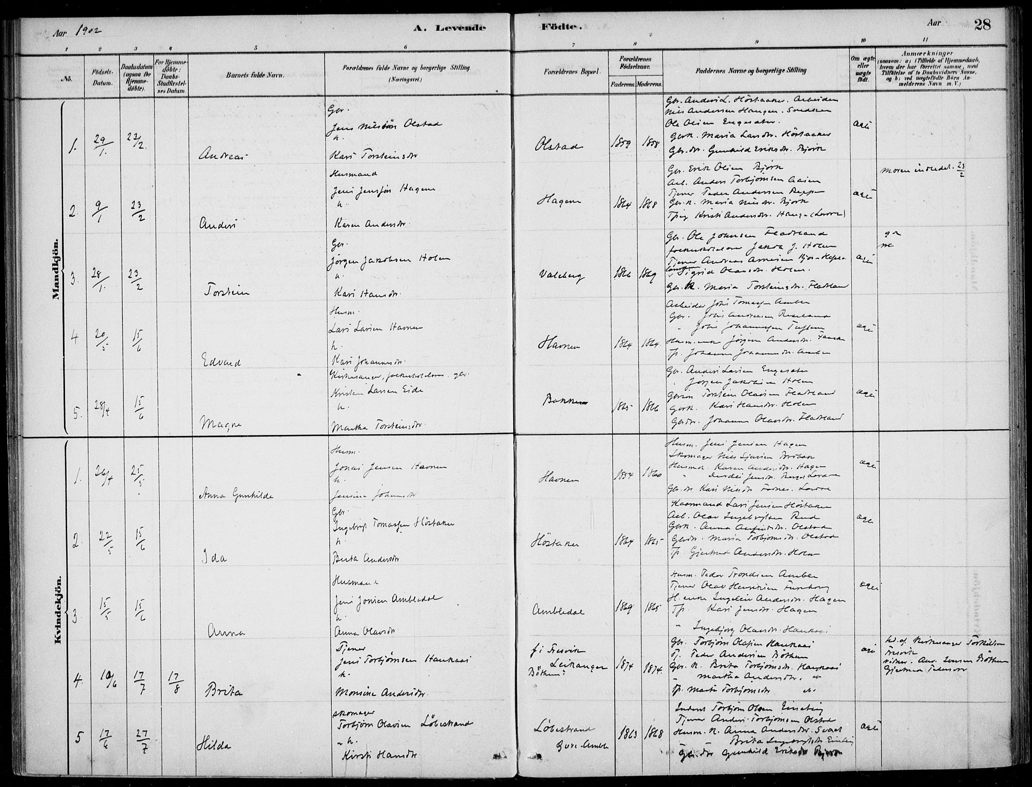 Sogndal sokneprestembete, AV/SAB-A-81301/H/Haa/Haad/L0001: Parish register (official) no. D  1, 1878-1907, p. 28