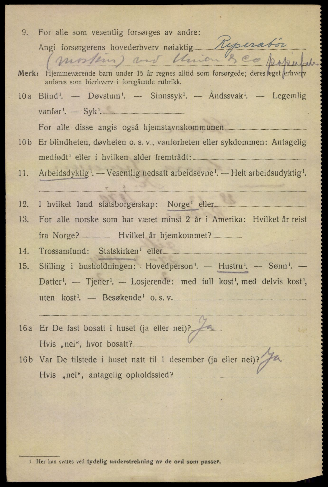 SAKO, 1920 census for Skien, 1920, p. 45711