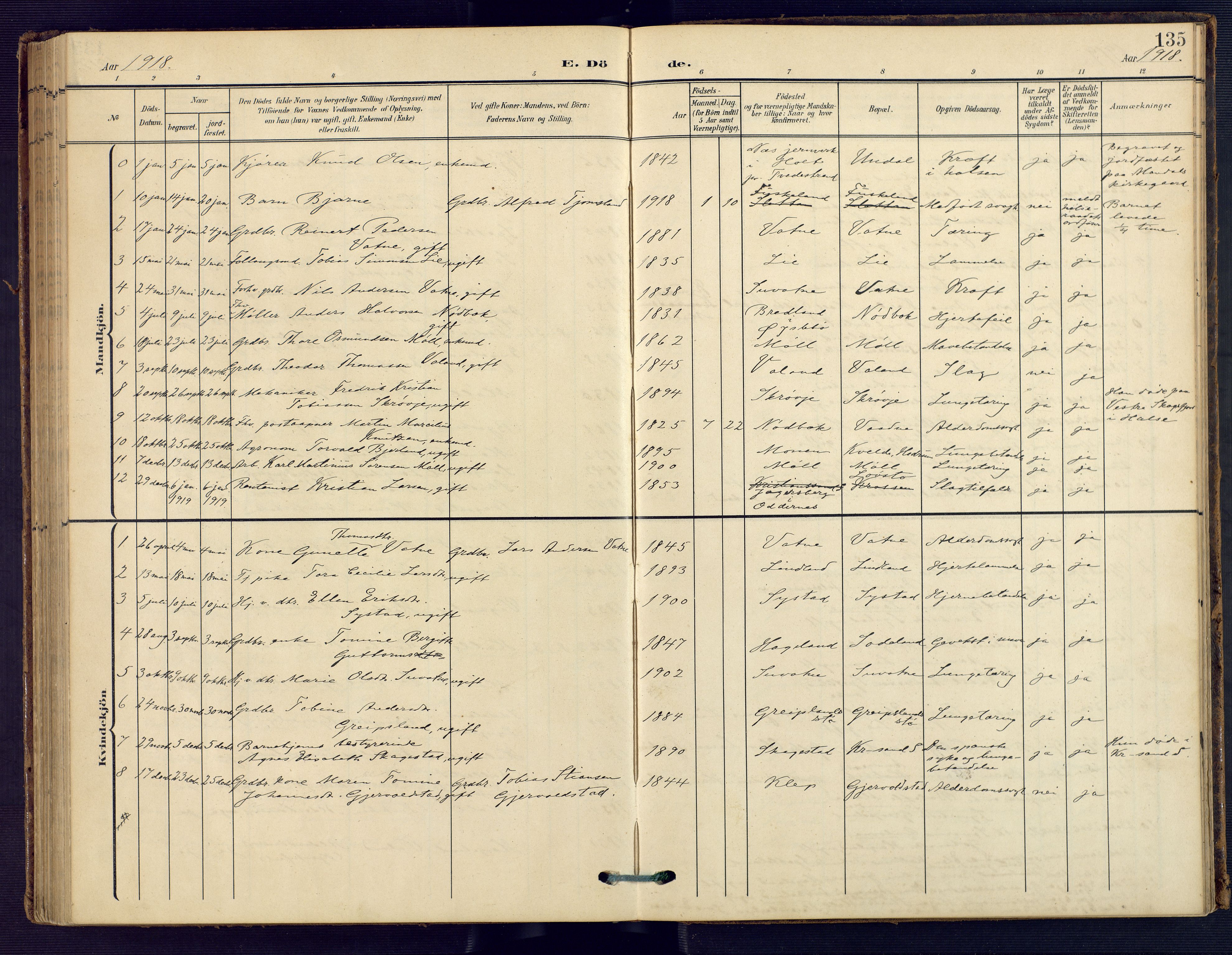 Holum sokneprestkontor, AV/SAK-1111-0022/F/Fa/Faa/L0008: Parish register (official) no. A 8, 1908-1929, p. 135