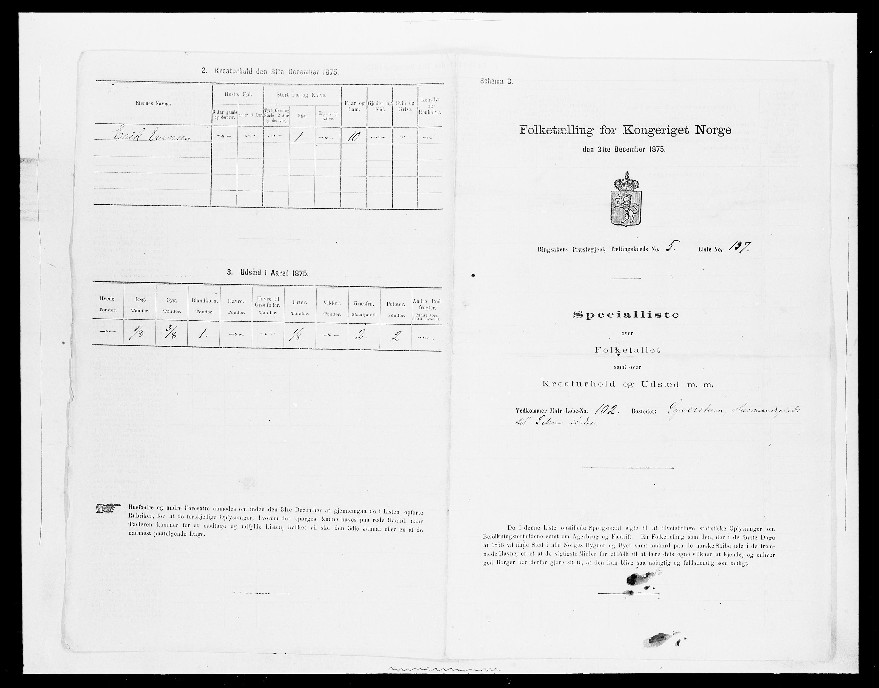 SAH, 1875 census for 0412P Ringsaker, 1875, p. 1204