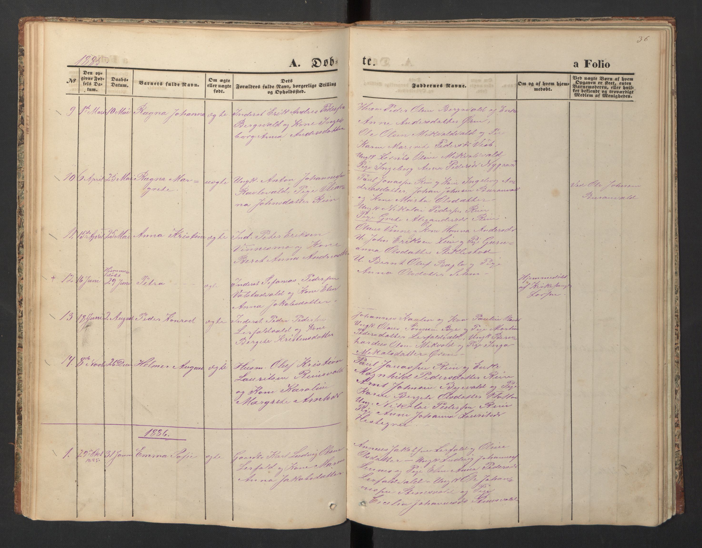 Ministerialprotokoller, klokkerbøker og fødselsregistre - Nord-Trøndelag, SAT/A-1458/726/L0271: Parish register (copy) no. 726C02, 1869-1897, p. 36