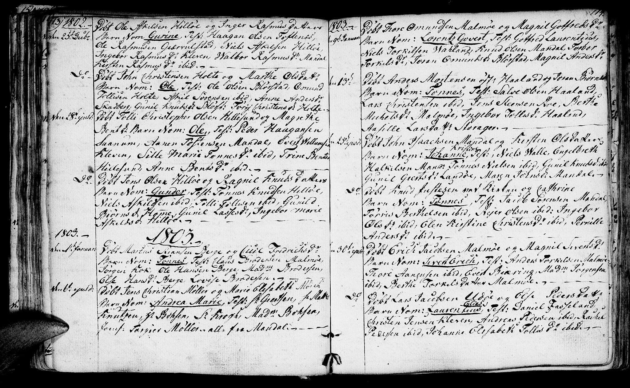 Mandal sokneprestkontor, AV/SAK-1111-0030/F/Fa/Faa/L0008: Parish register (official) no. A 8, 1794-1817, p. 113-114