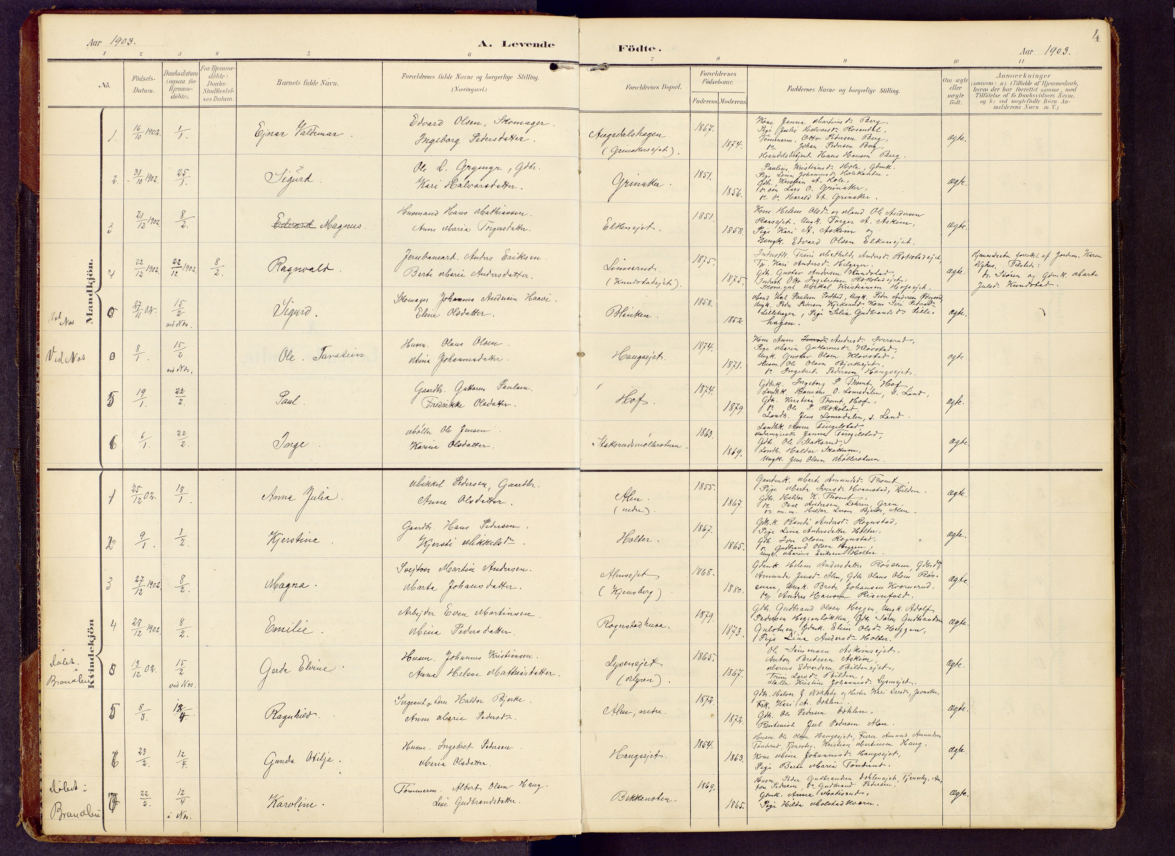 Brandbu prestekontor, SAH/PREST-114/H/Ha/Hab/L0009: Parish register (copy) no. 9, 1903-1916, p. 4